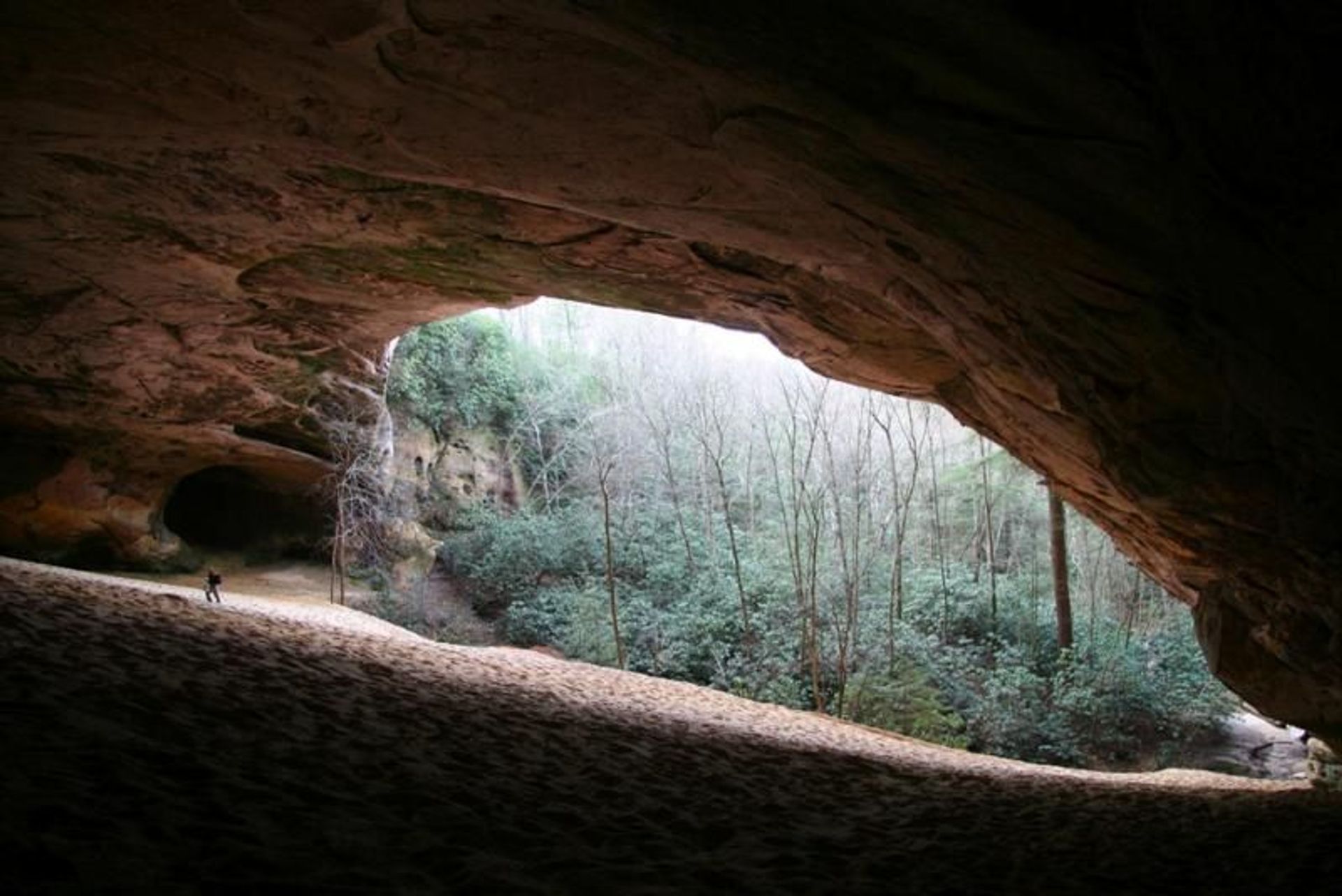 Sand Cave is a massive sandstone rockshelter found in the backcountry