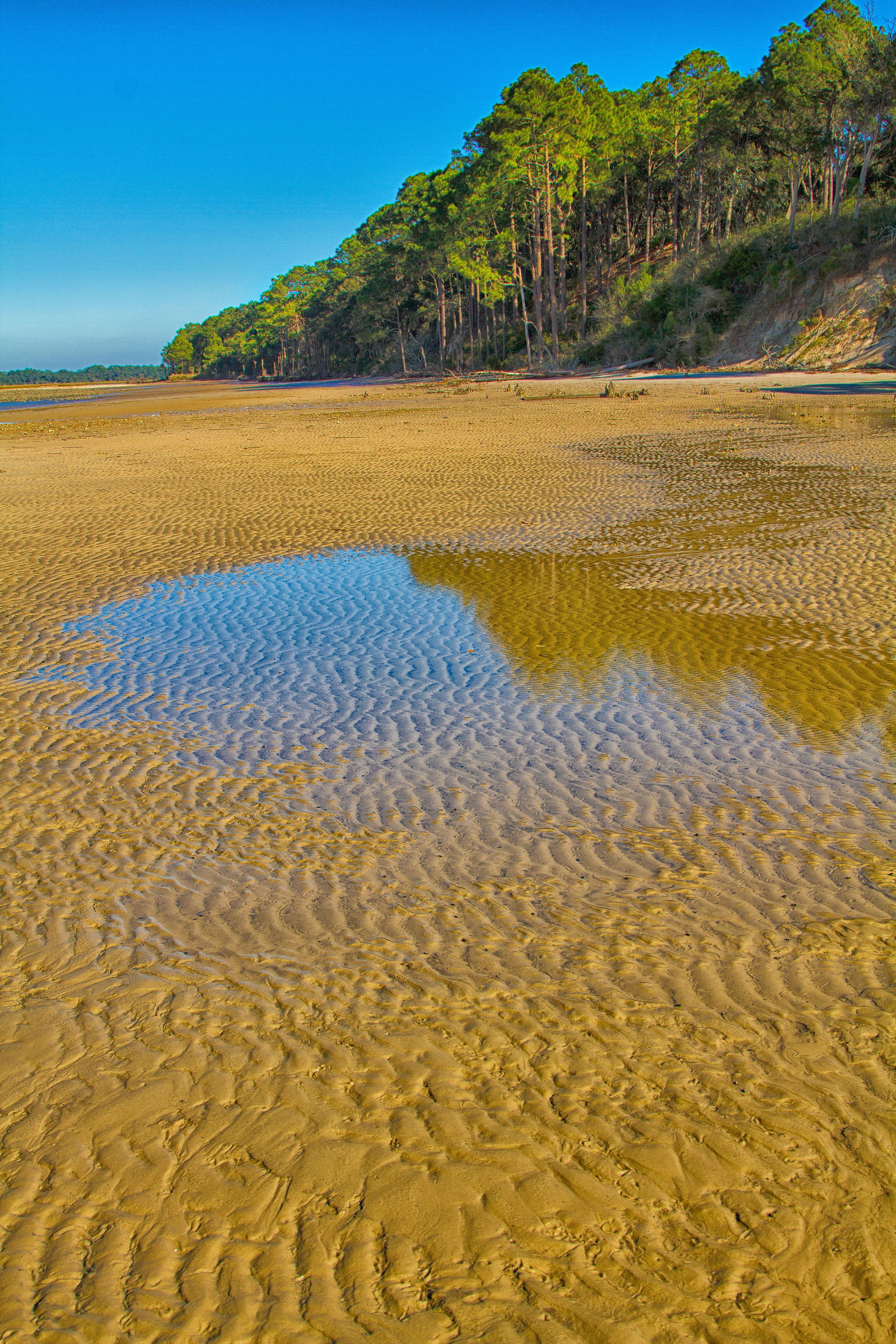 Tidal forces continue to shape the land today as they have for thousands of years forming high bluffs used for fortifications and ship docking throughout the island’s history.