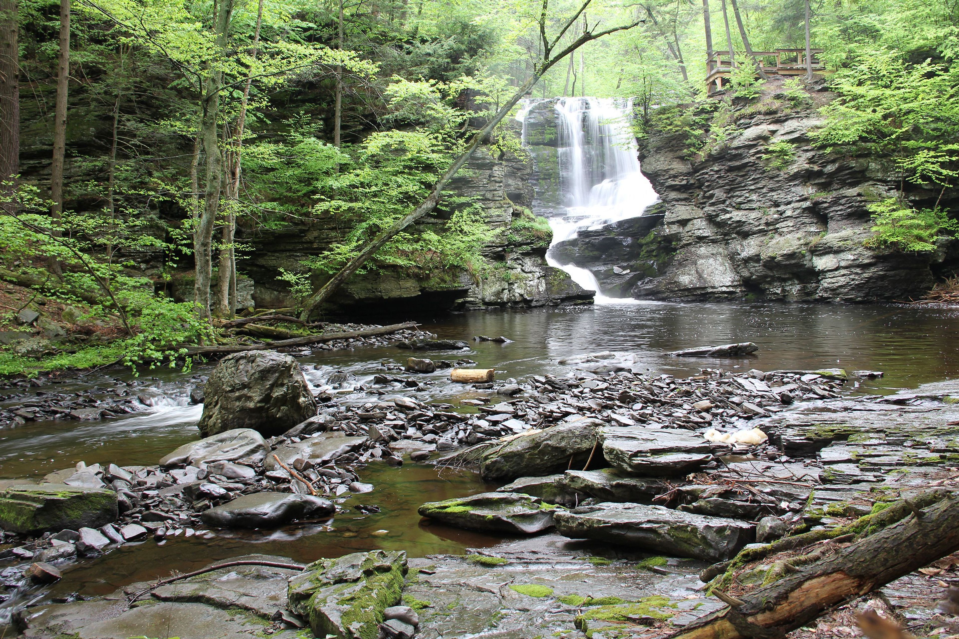 Fulmer Falls is the second of three waterfalls in George W. Childs Park