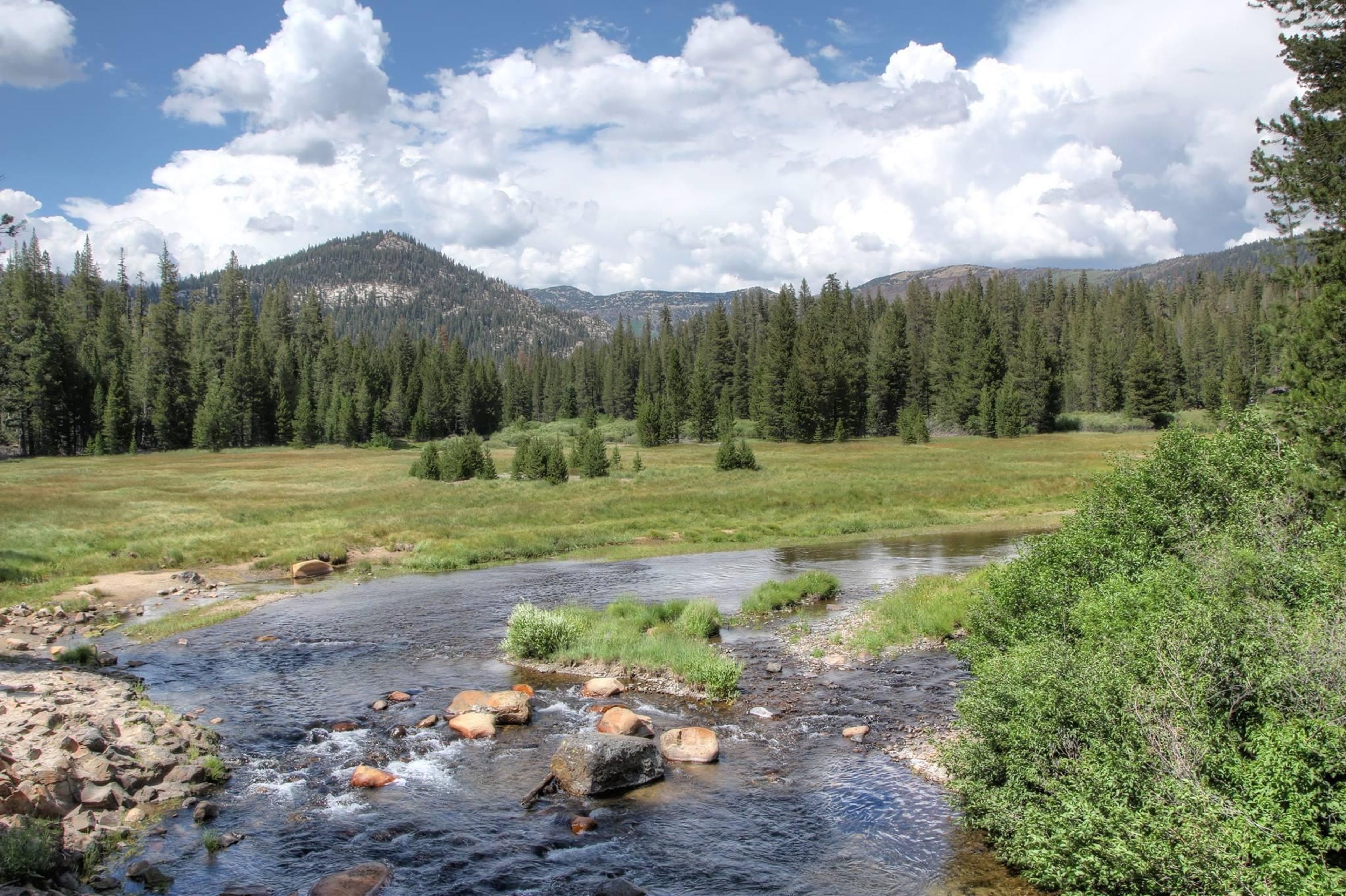 Soda Springs Meadow and San Joaquin River