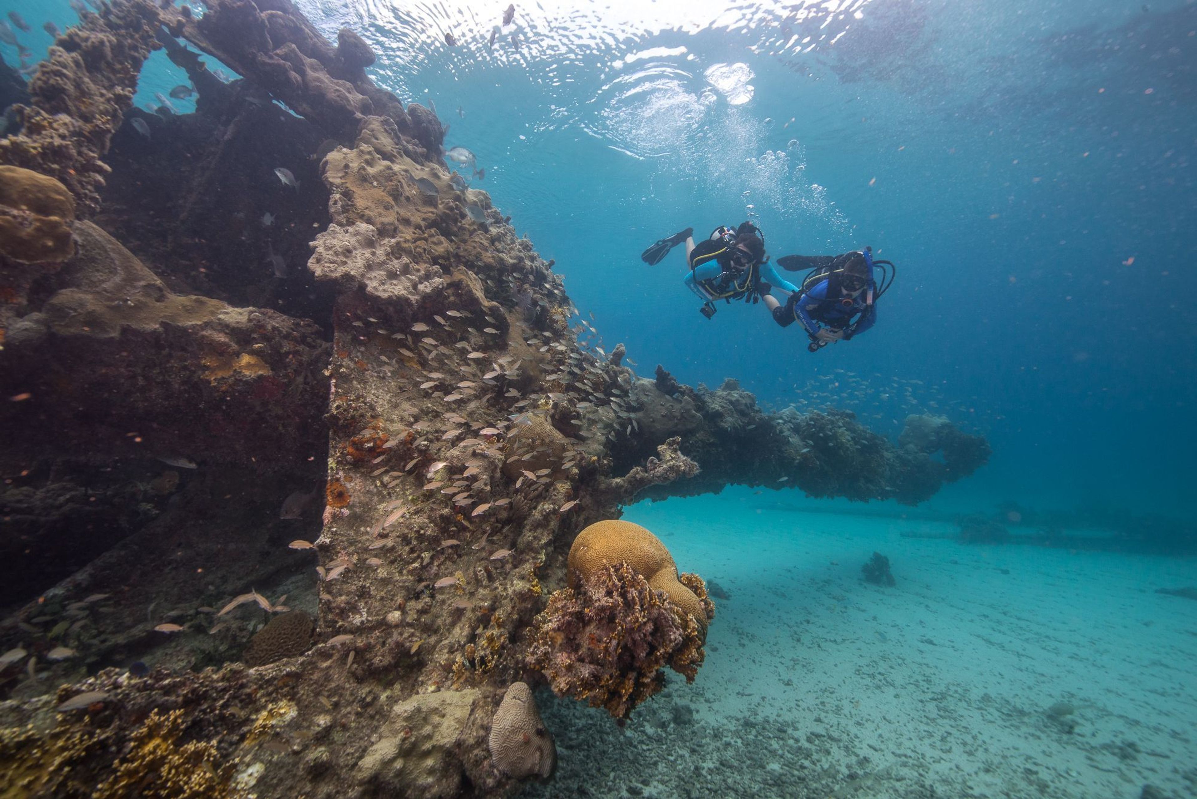 The Dry Tortugas has over 300 sunken ships. One of the most accessible is the Winjammer Wreck which can be dove or snorkeled.