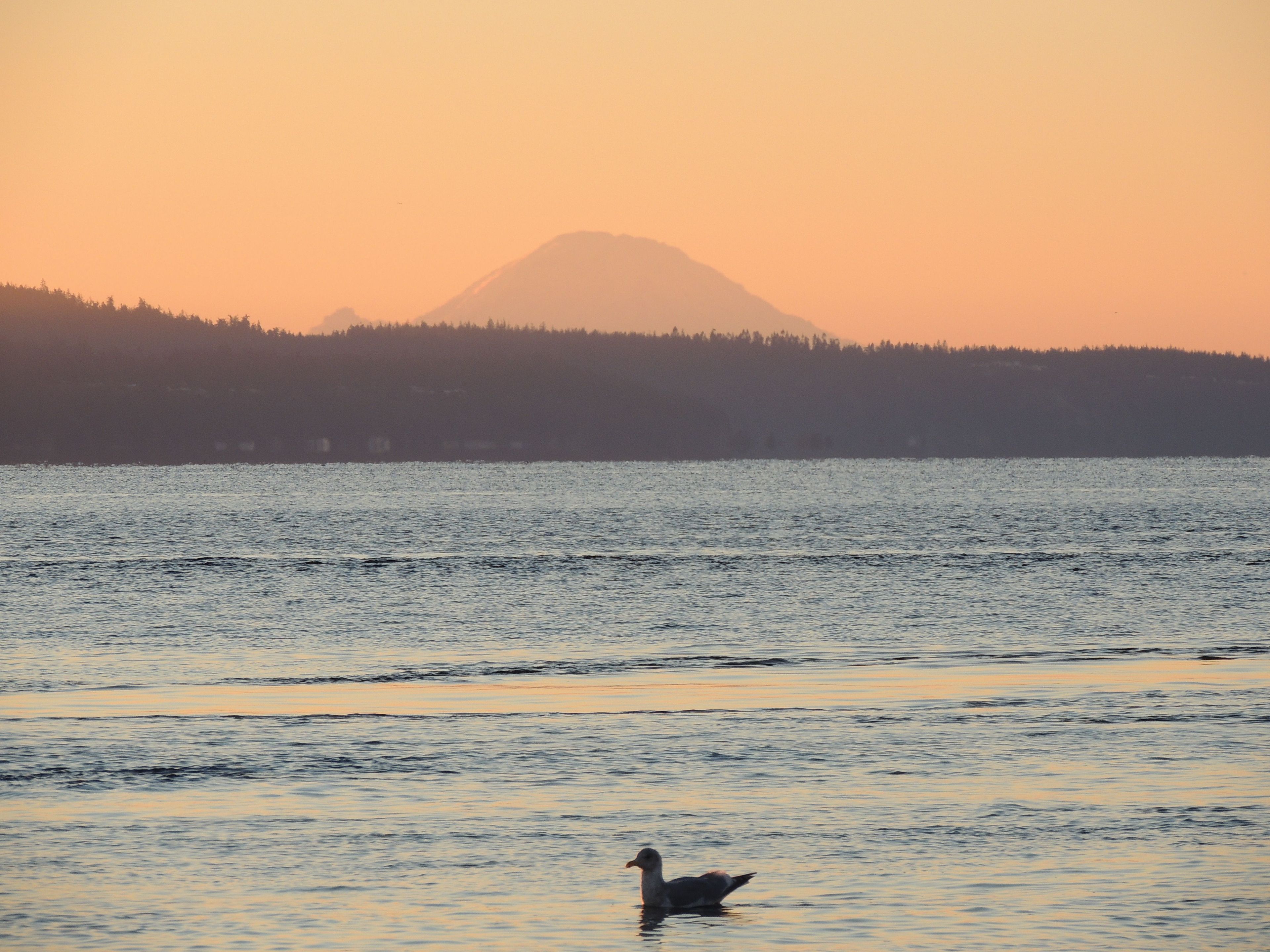 Admiralty Bay in Fort Casey State Park offers spectacular views of Mt Rainier and the Olympic Mountains.