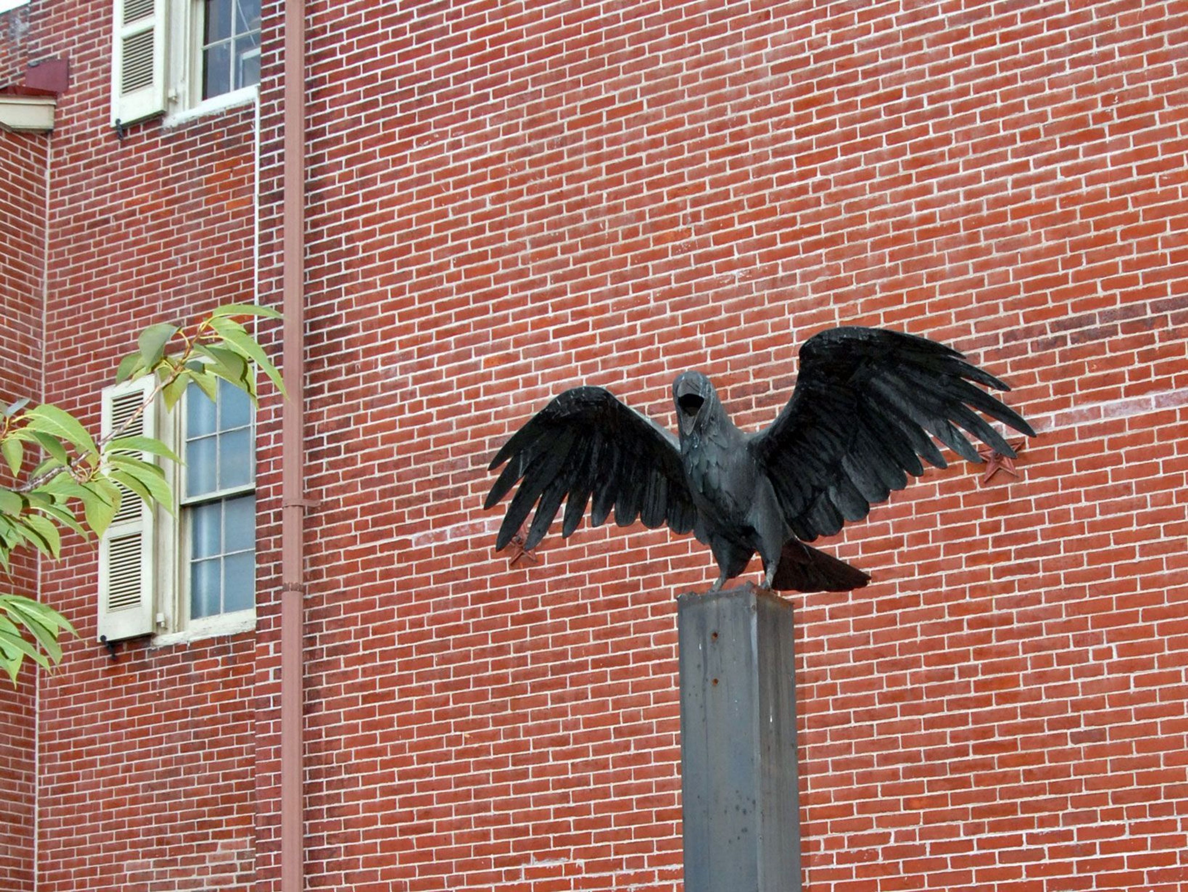 Stand in the shadow of the raven statue in the yard.