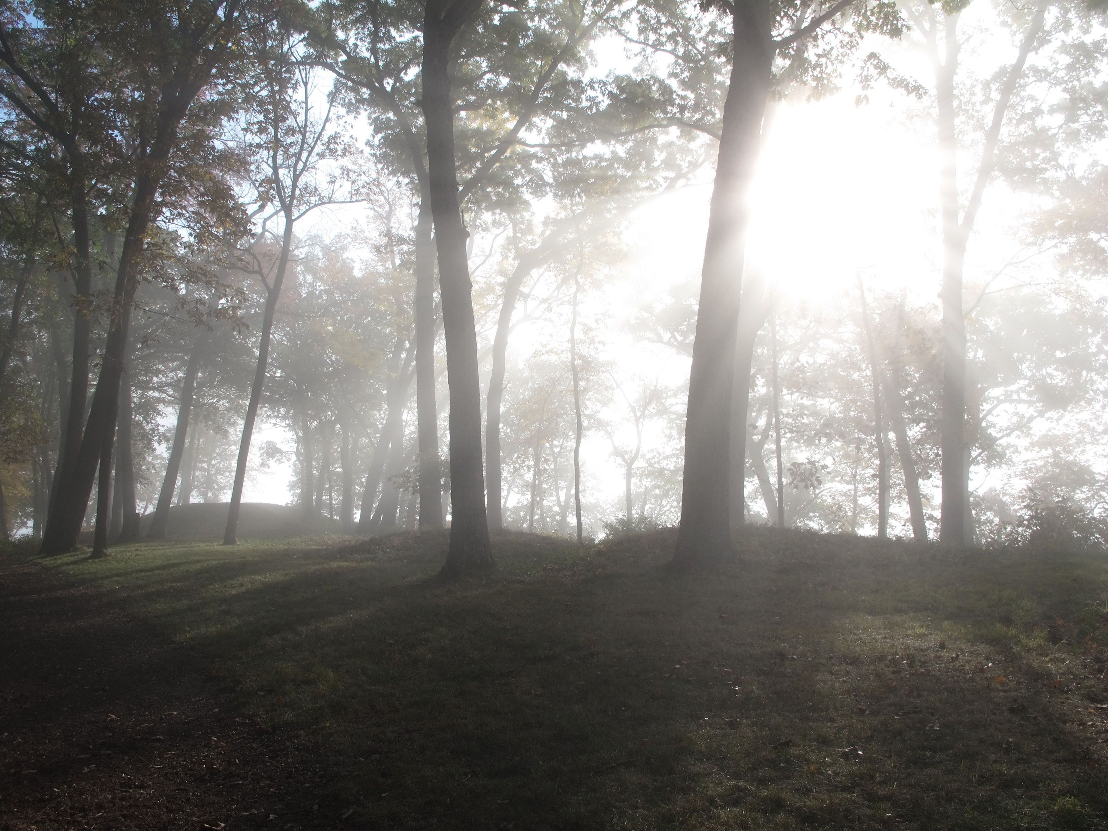 Three Conical mounds along the Fire Point Trail during a foggy morning.