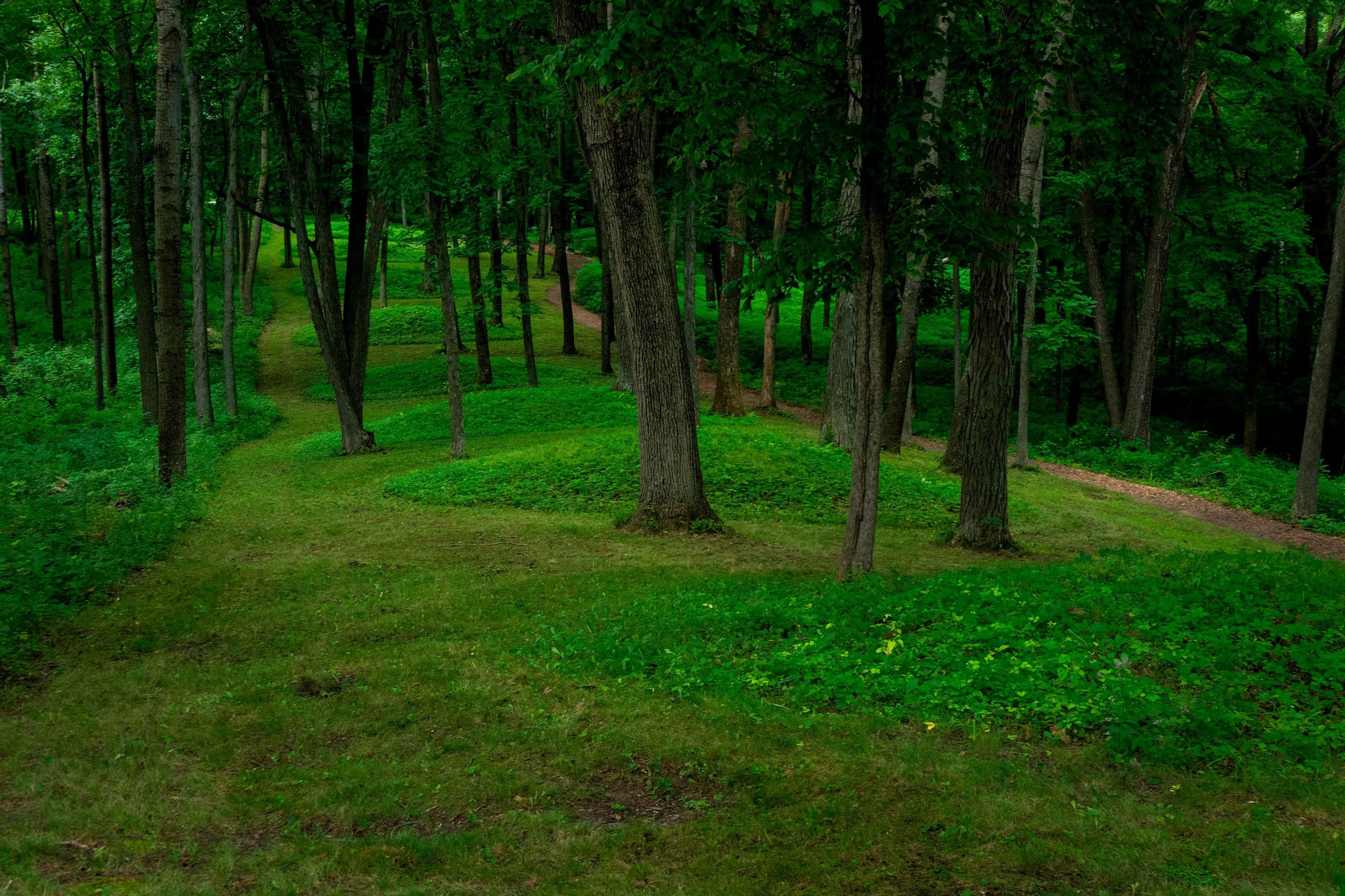 Follow a line of conical mounds that will lead you out to Fire Point which overlooks the Mississippi River.