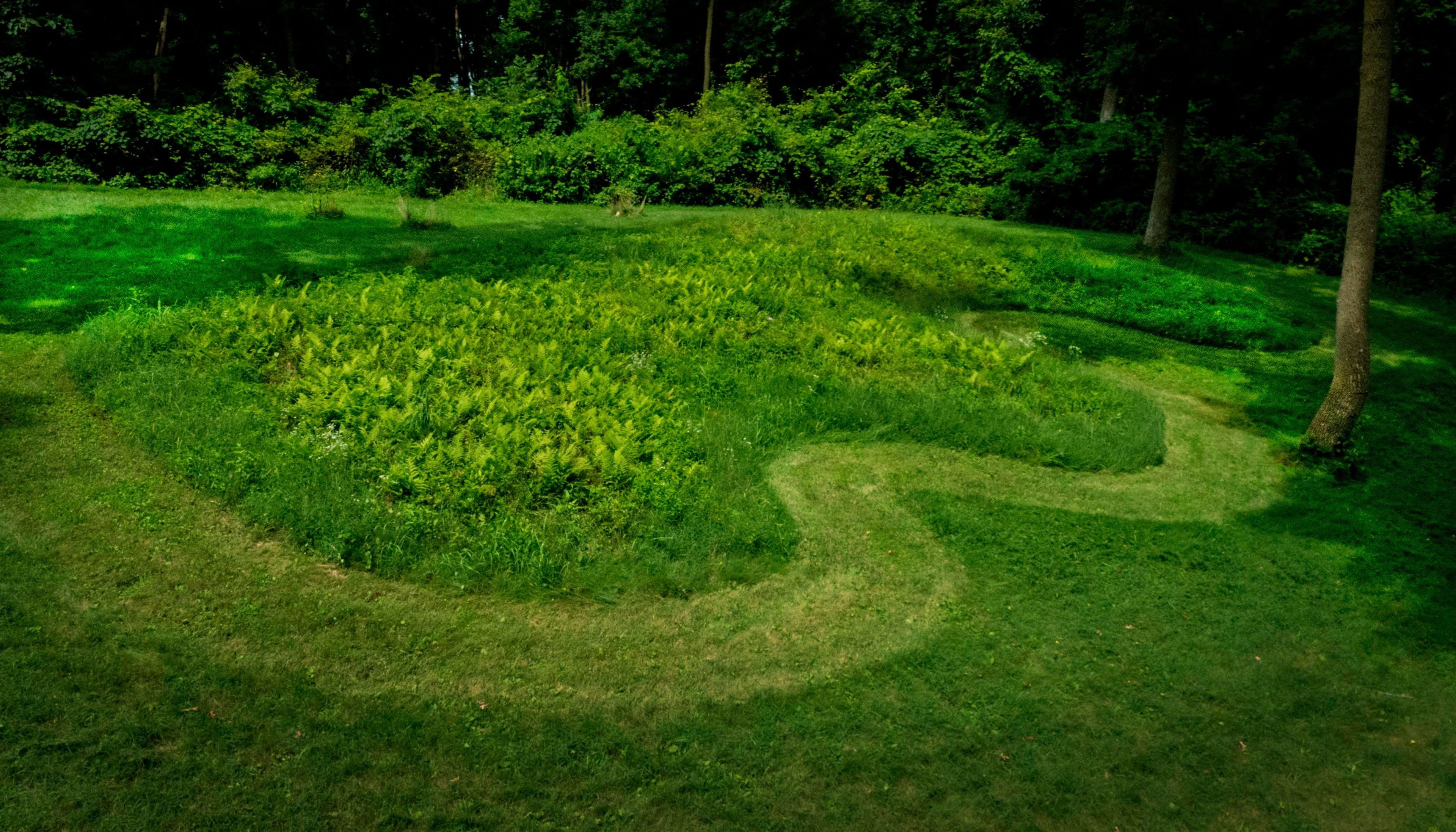 A bear mound visible along the park's North Unit trail.