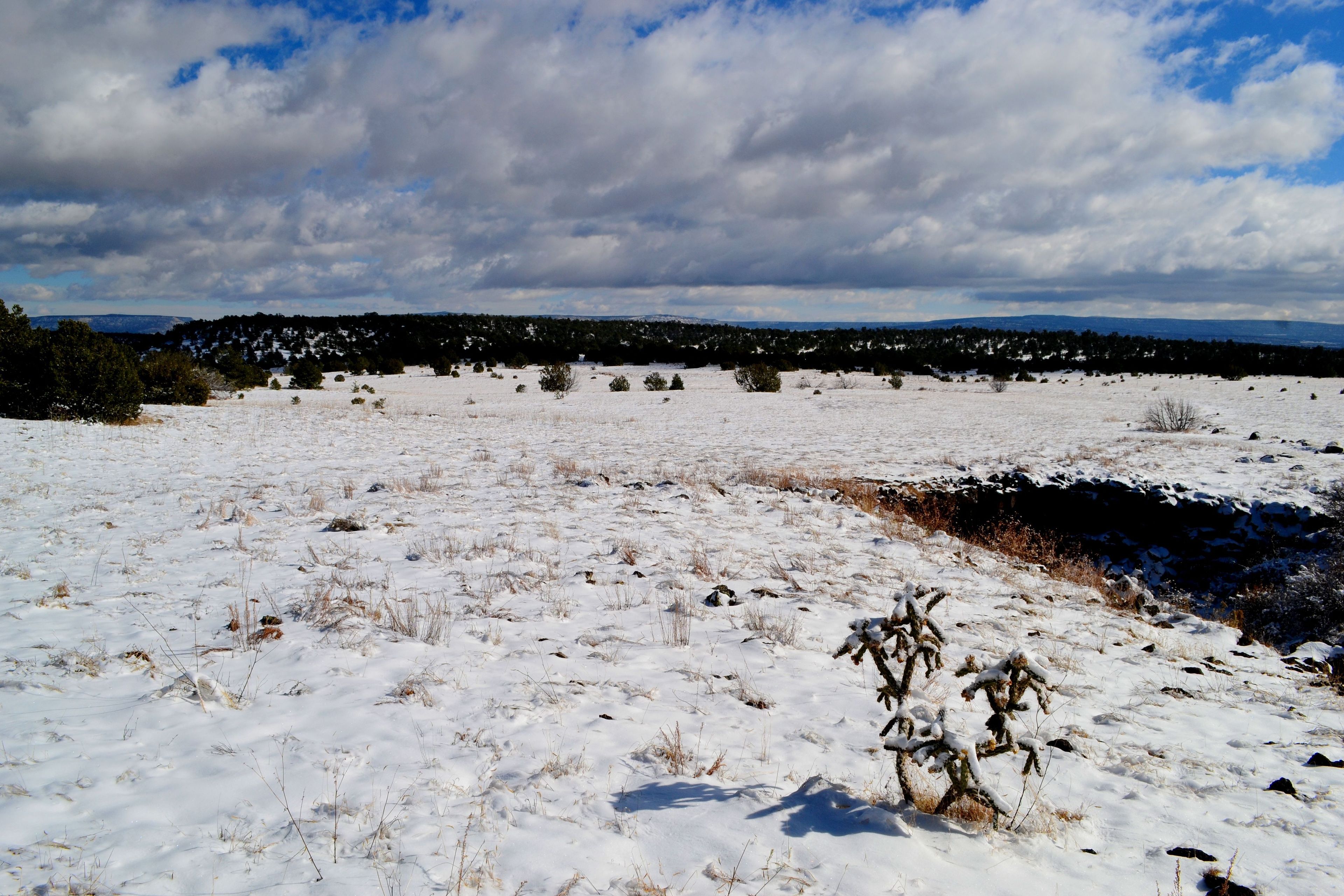 Winter exploration allows one to discover the quiet beauty of El Malpais