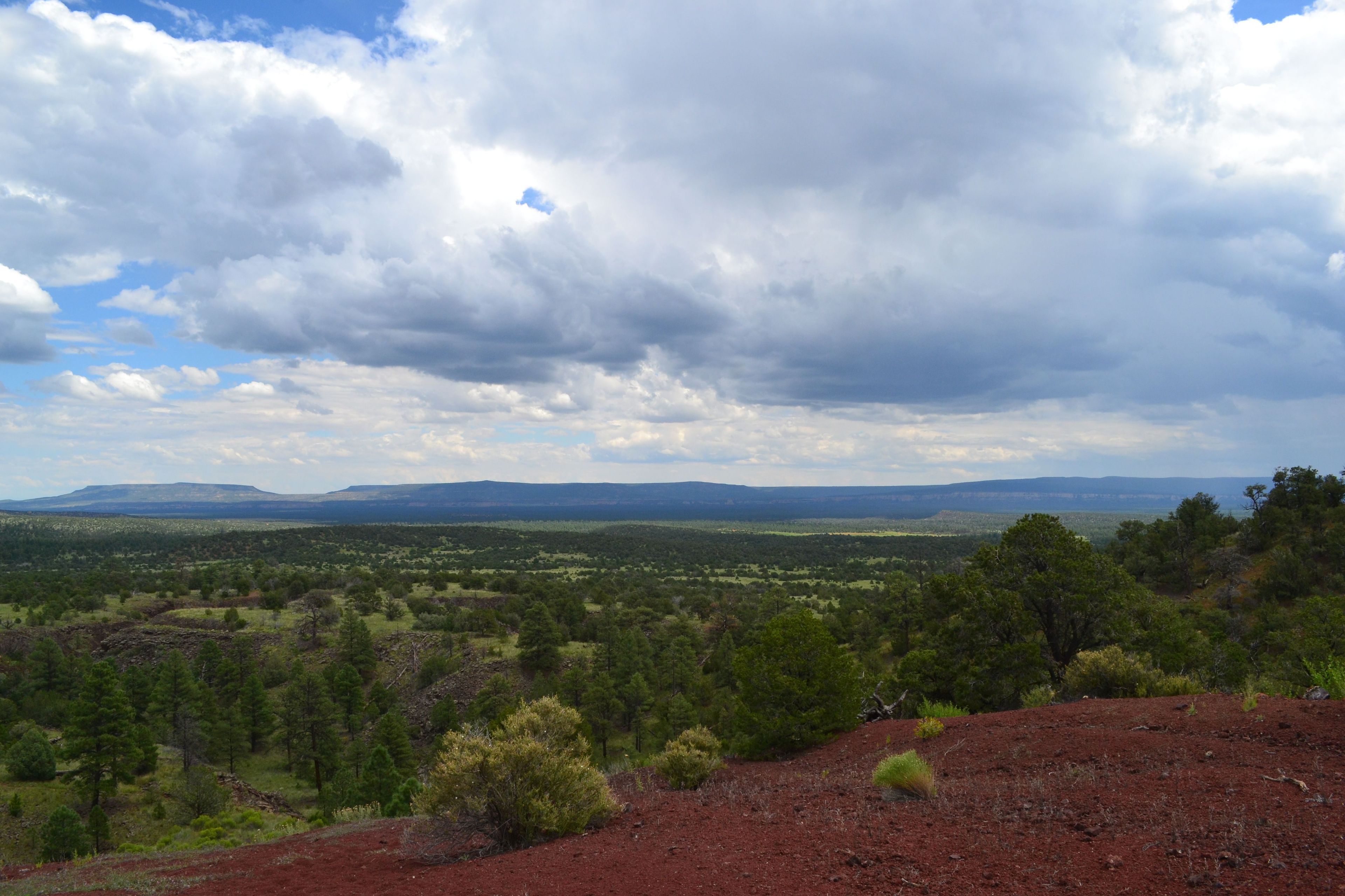 A hike to the top of El Calderon cinder cone offers one a view of the entire monument.