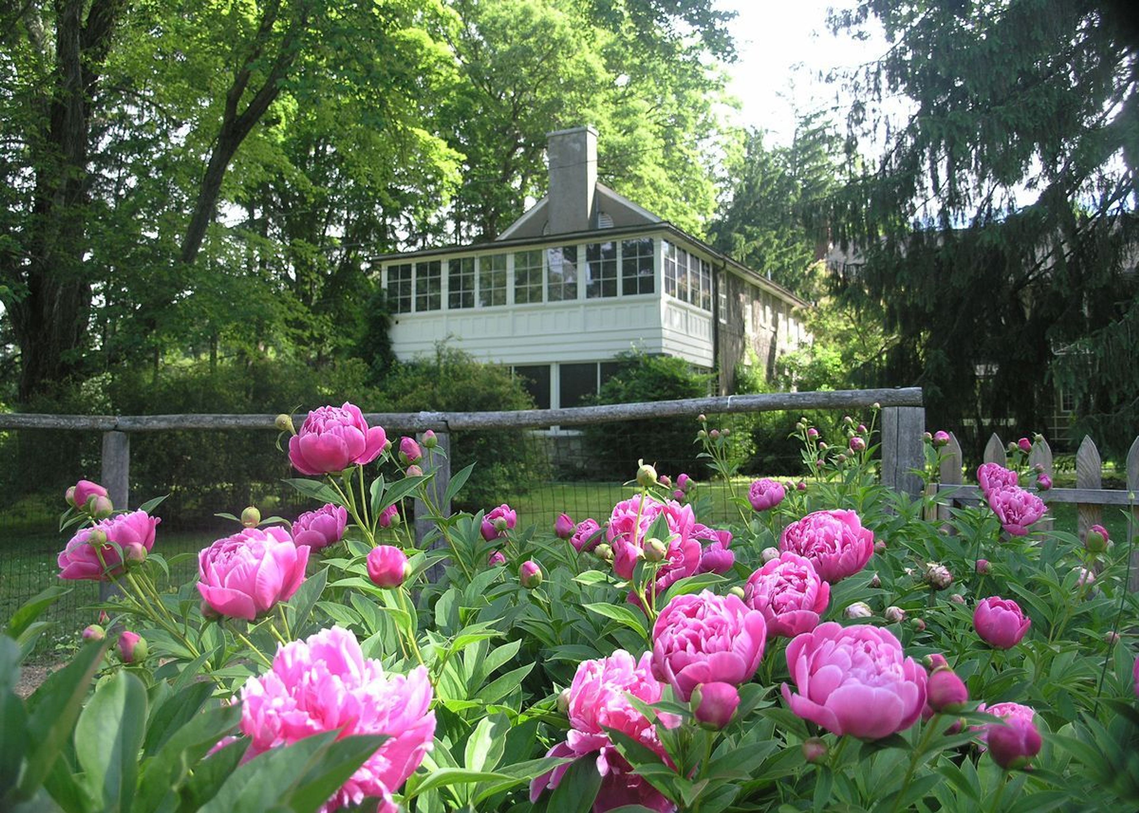 Mrs. Roosevelt's favorite room was the sleeping porch on the second floor overlooking the garden.