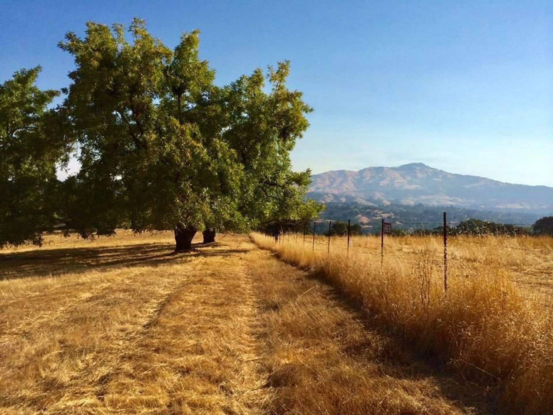 Mountain background as seen from the park.