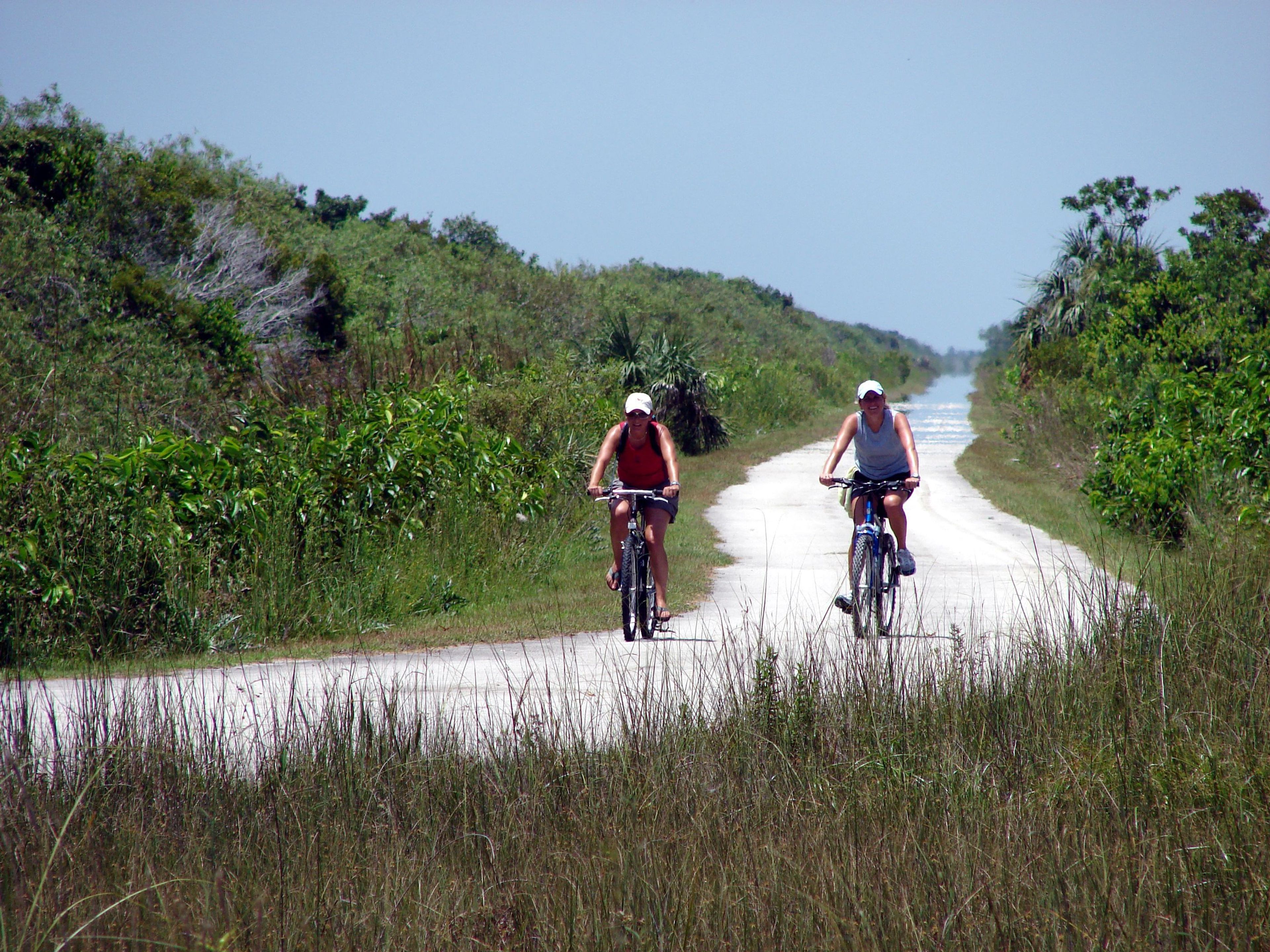 Biking is a great way to experience the quiet beauty of the Everglades.