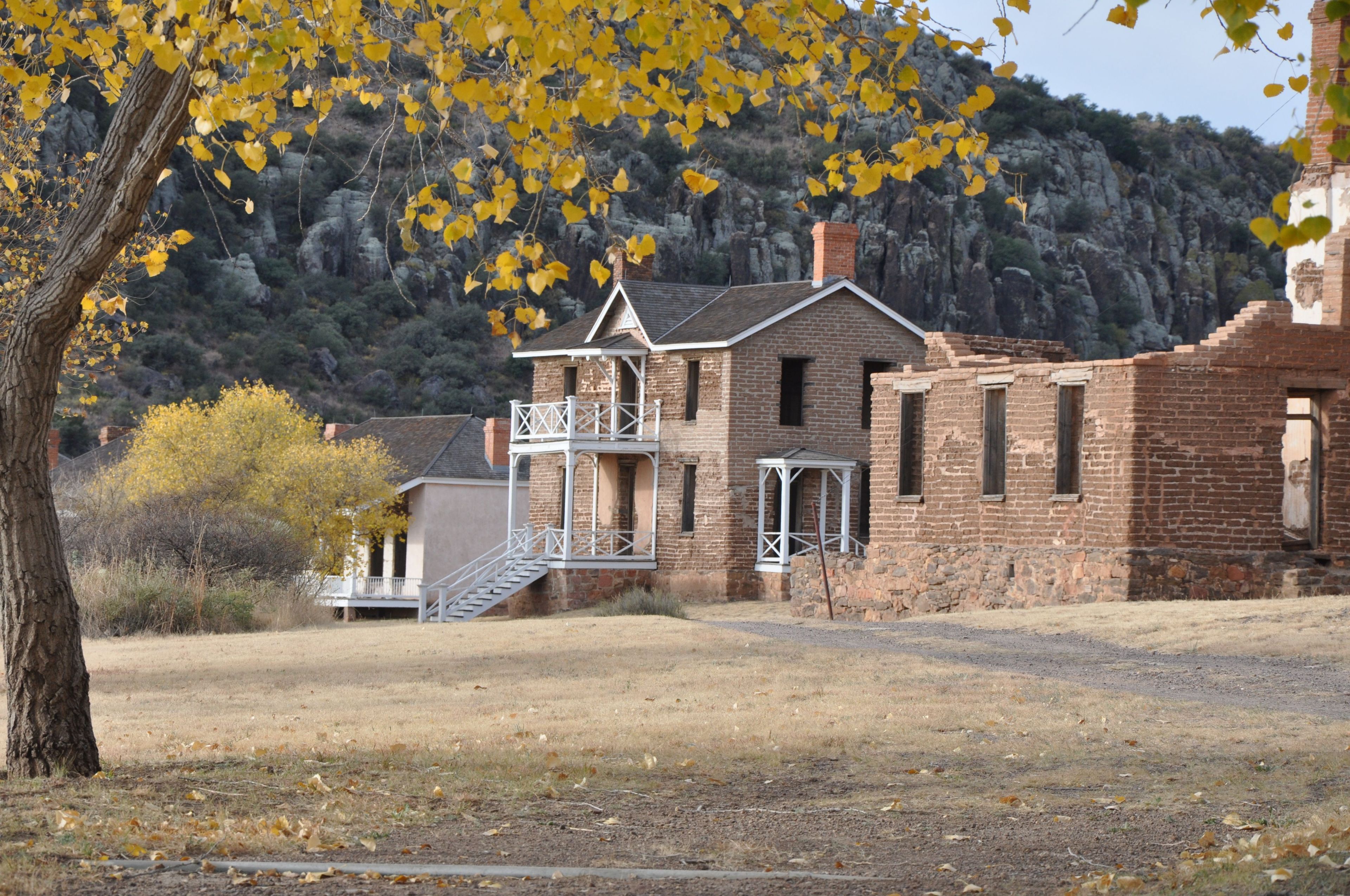 This sky island habitat is known for its dramatic season changes. Fall brings the end of our rainy season allowing the bright yellow Cottonwoods to shine. In spring /summer waving grasses and wildflowers show off their vivid colors once again.