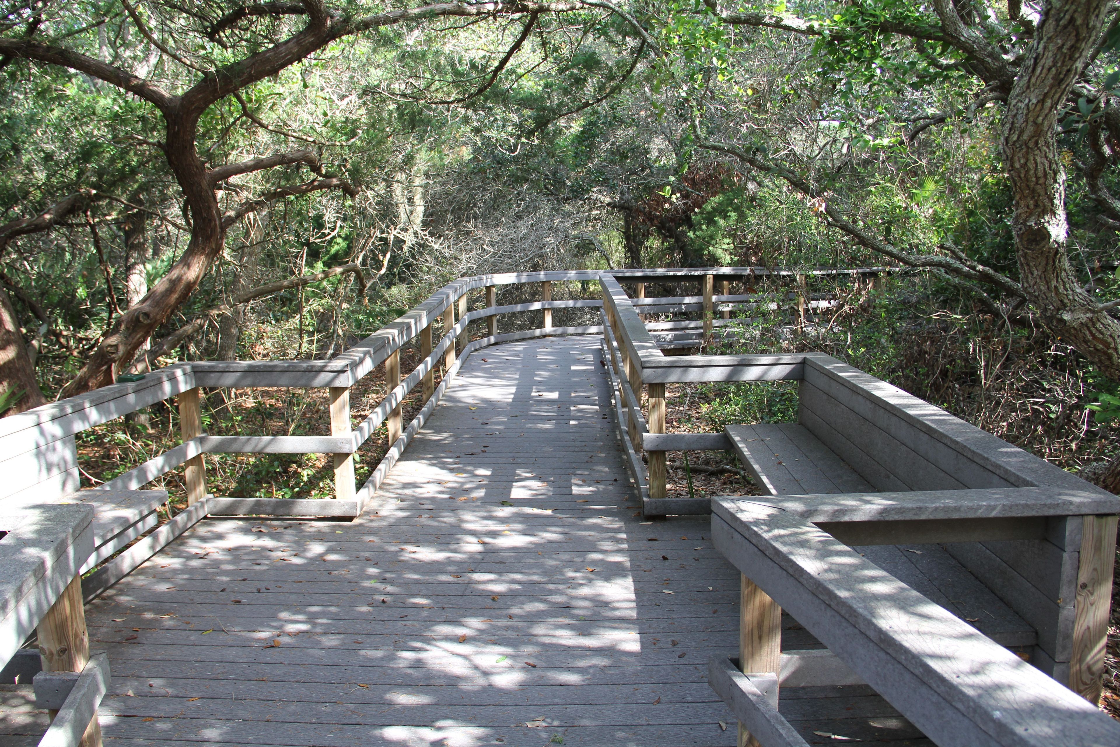 Follow an elevated boardwalk through some pristine Florida barrier island habitat.