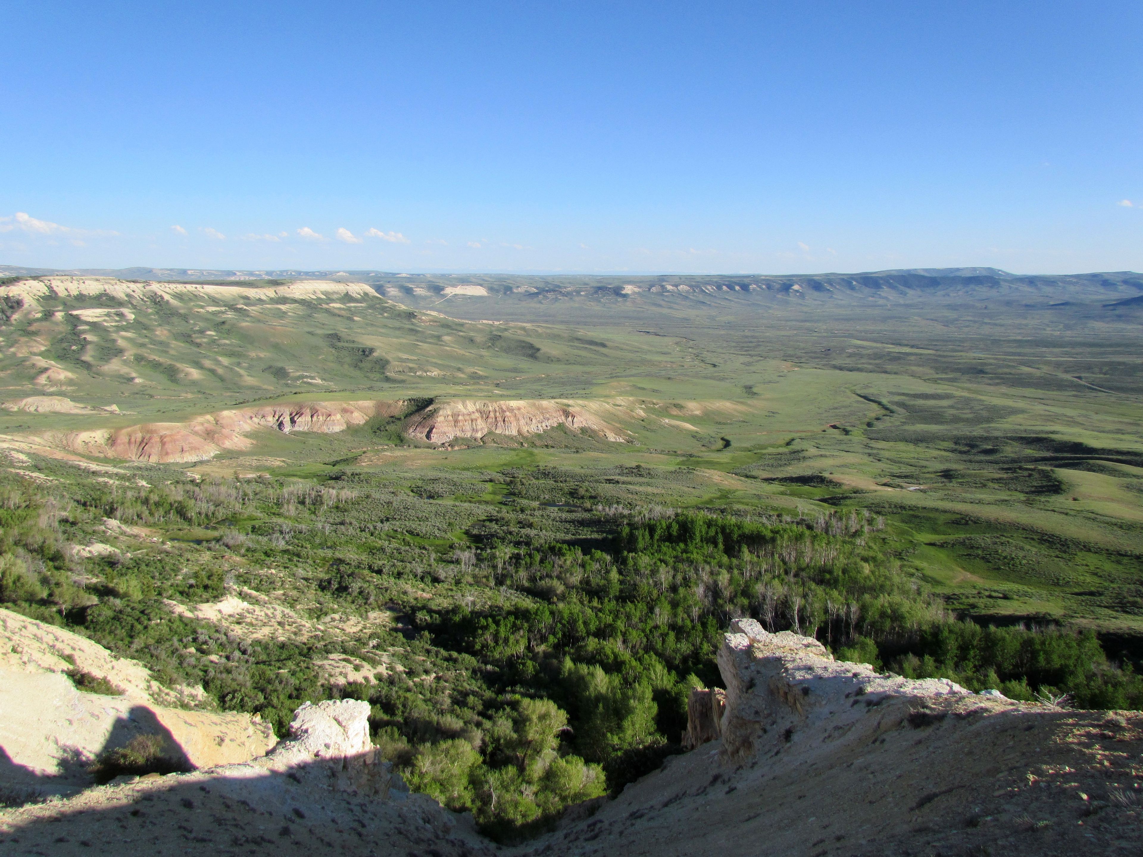 Early Summer Beauty in the High Desert of Southwestern Wyoming