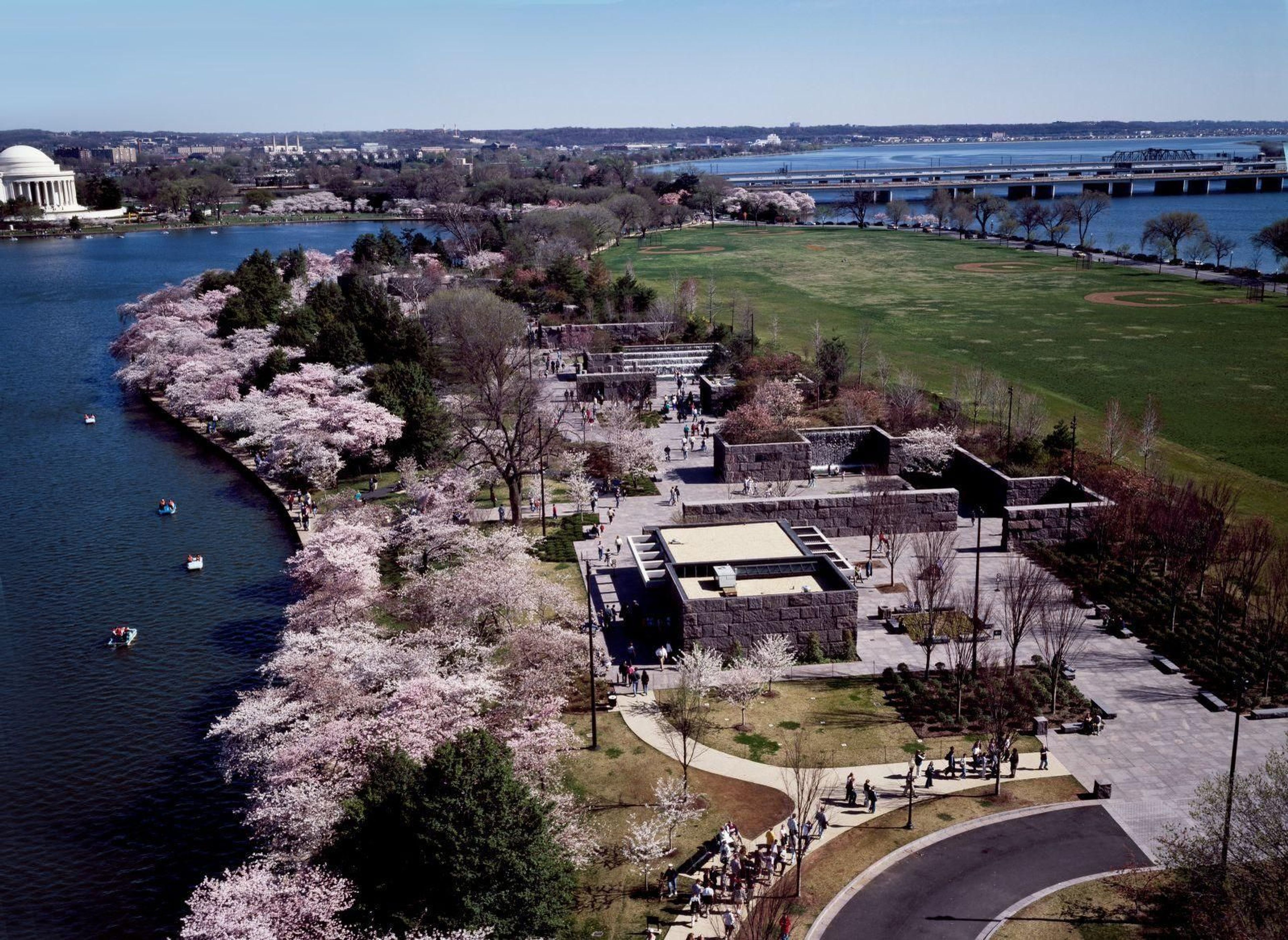 Franklin Delano Roosevelt Memorial during Japanese Cherry Blossom peak bloom time