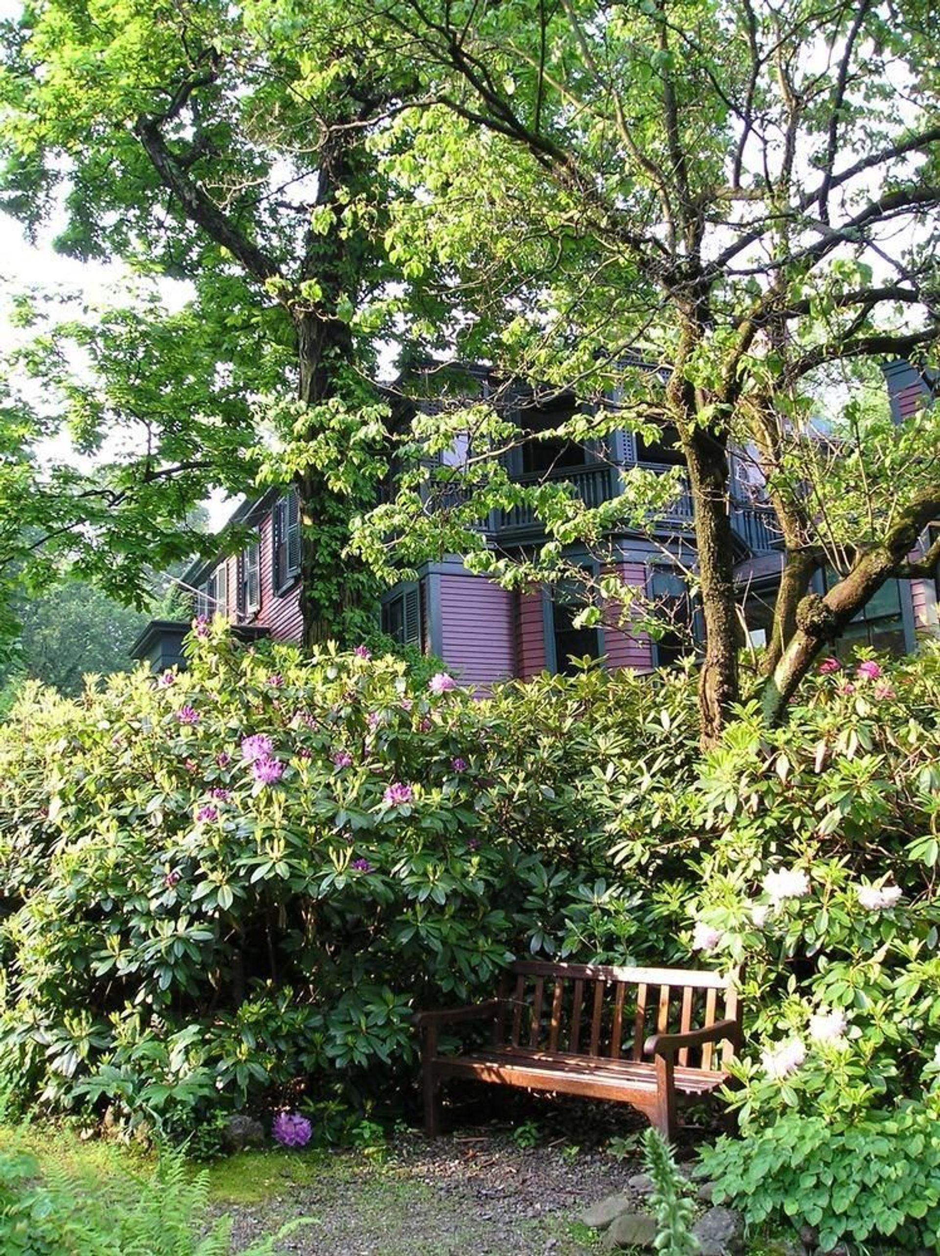 Landscape Architect Frederick Law Olmsted designed the Hollow on his Brookline, MA property to be a peaceful, picturesque sunken garden.