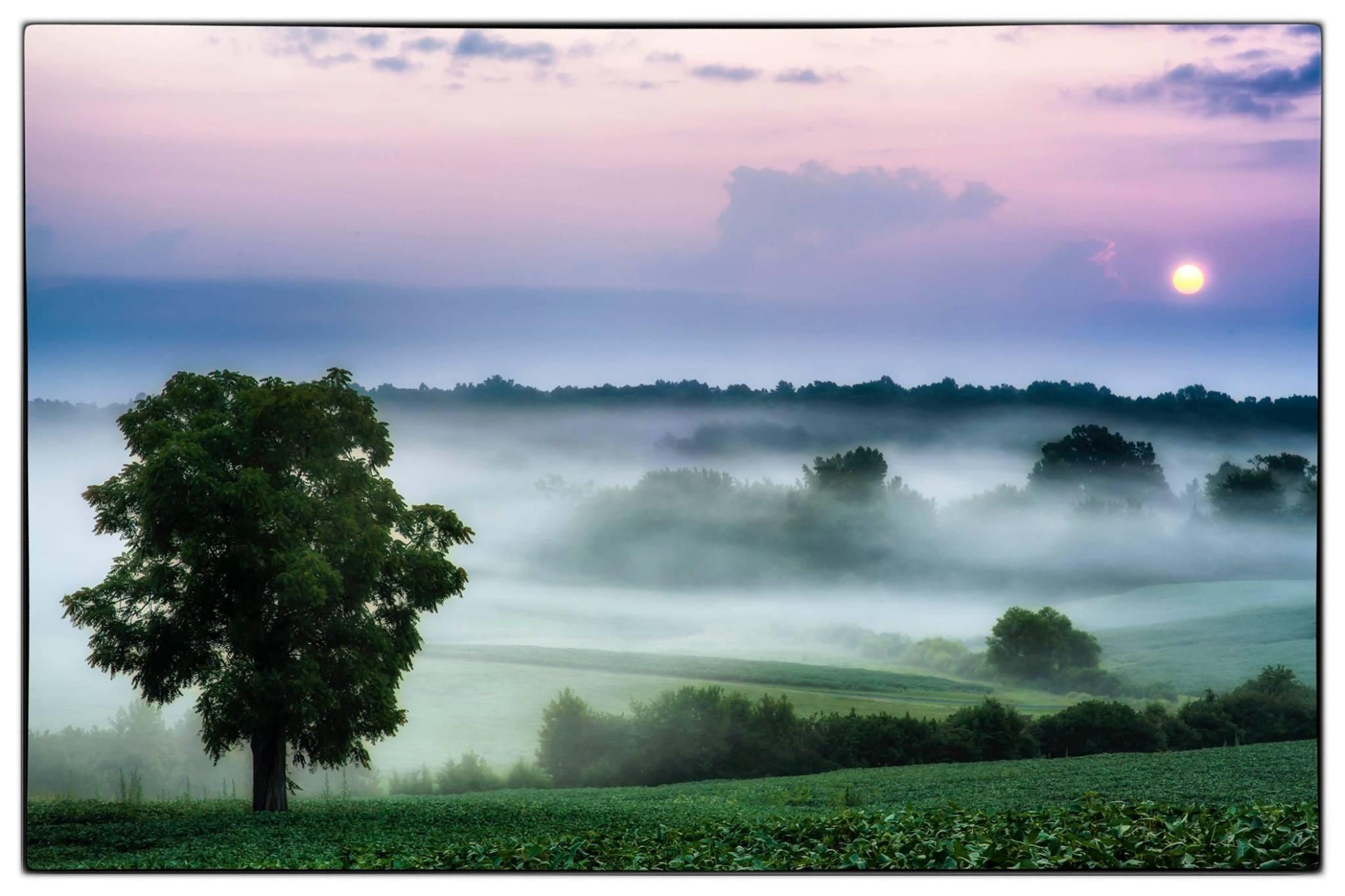 Fredericksburg & Spotsylvania is now characterized by dynamic landscapes as well significant Civil War battles that took place on the same ground