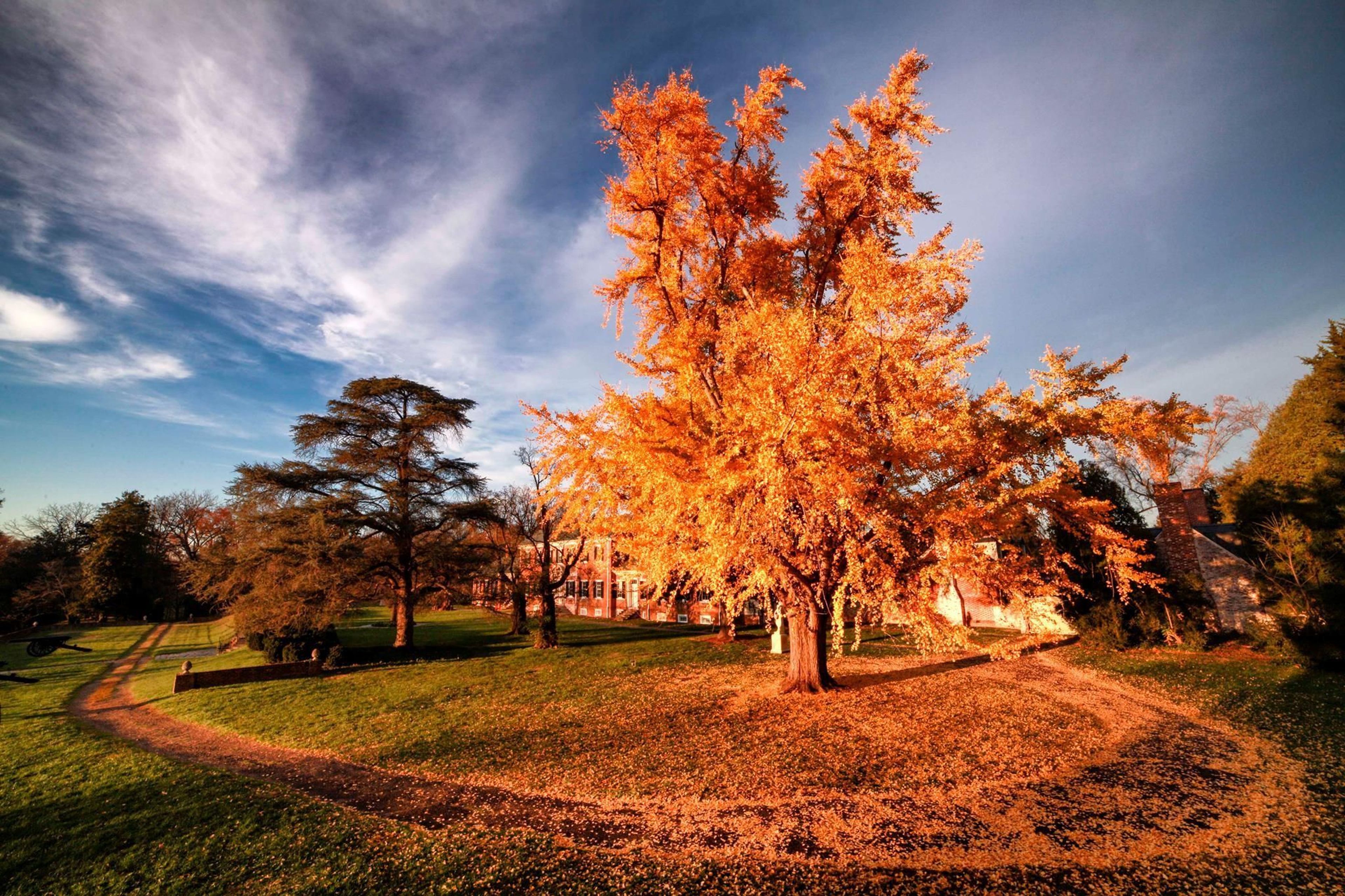 When visiting Fredericksburg & Spotsylvania, be sure to explore our numerous historic structures, such as Chatham Manor pictured here