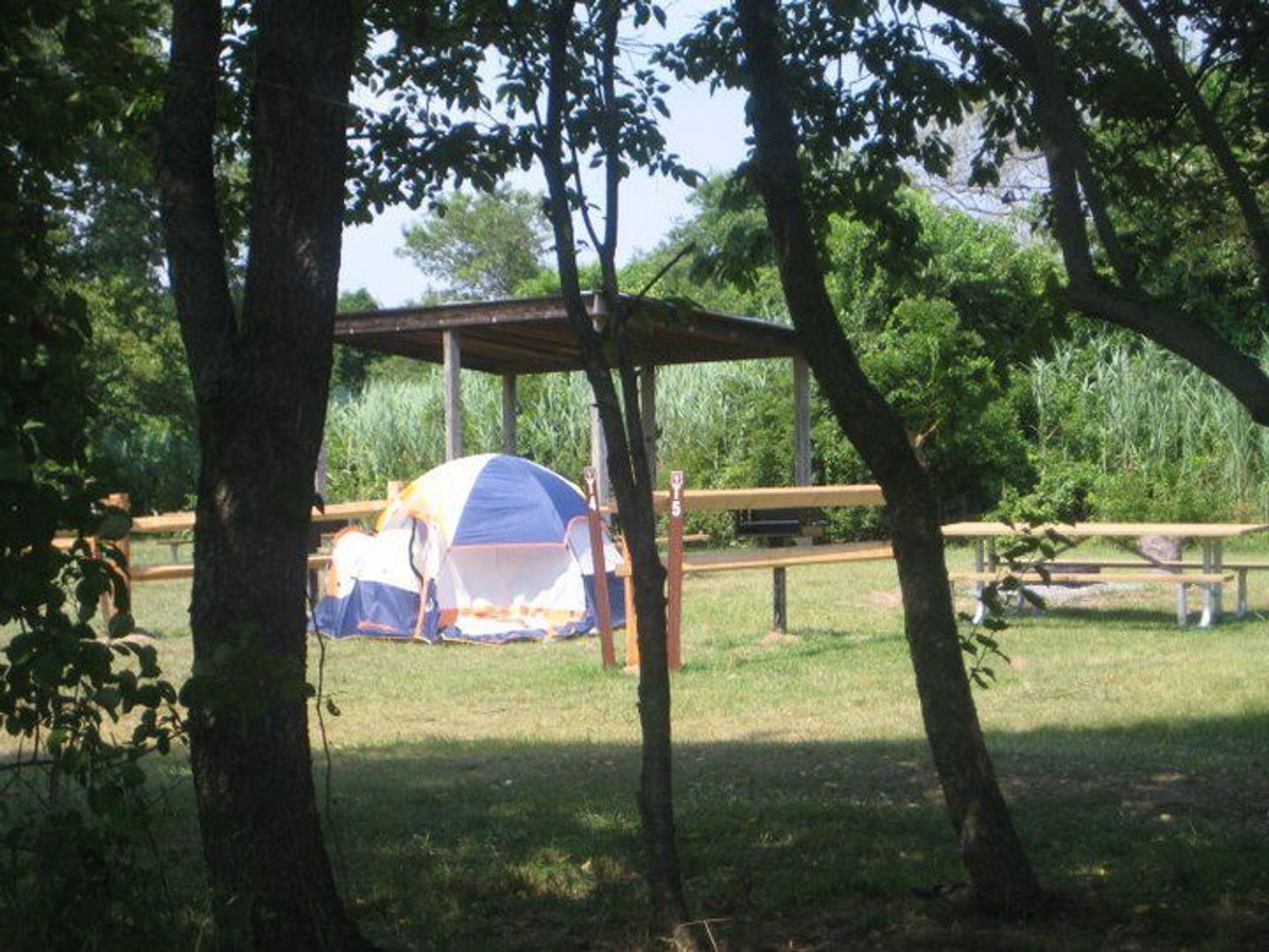 You can camp at all three units of Gateway, in the shadow of NYC.