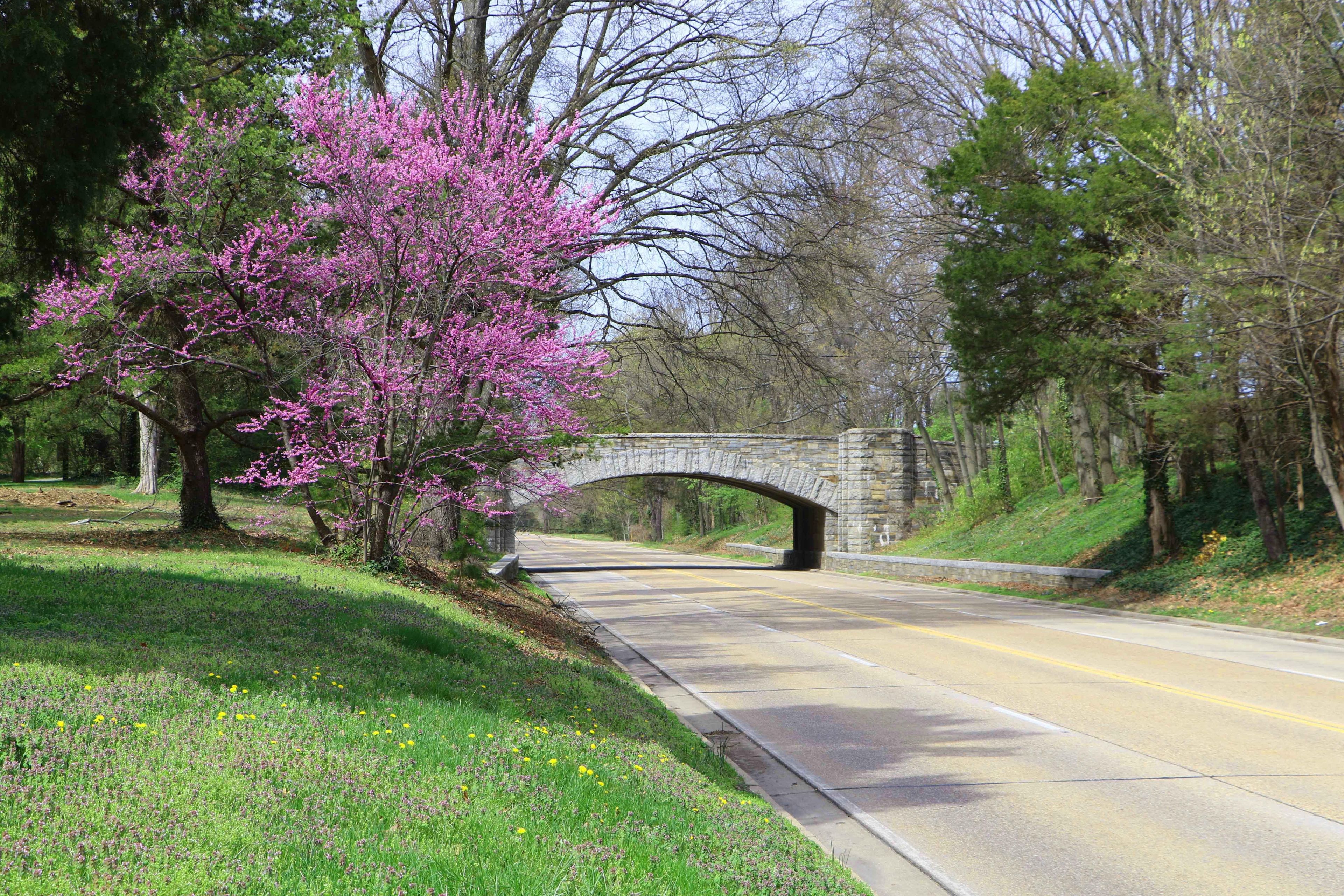 George Washington Memorial Parkway