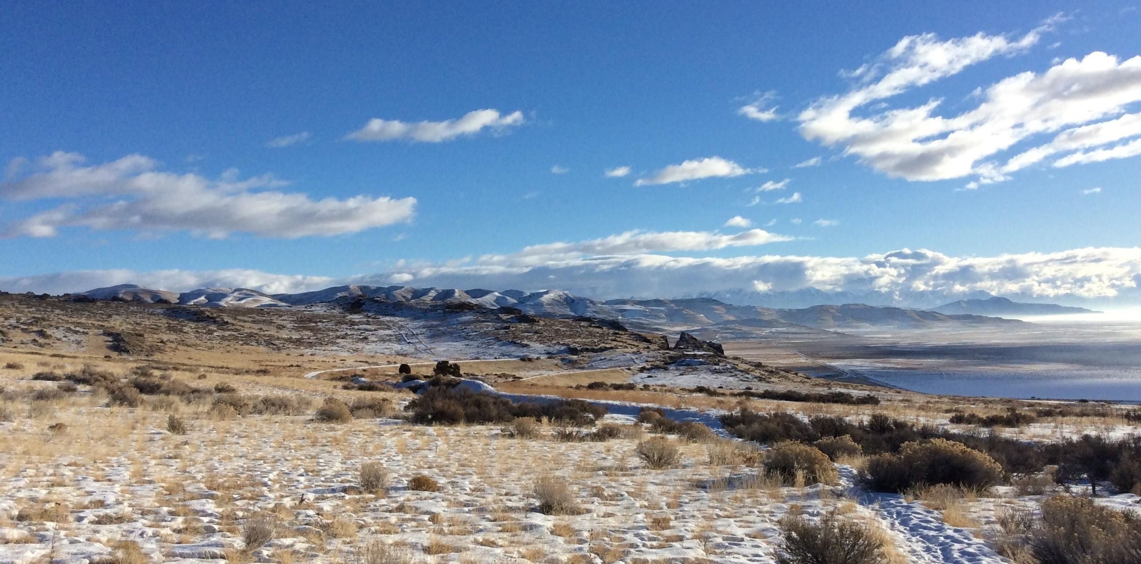 Winter View from Big Fill Trail