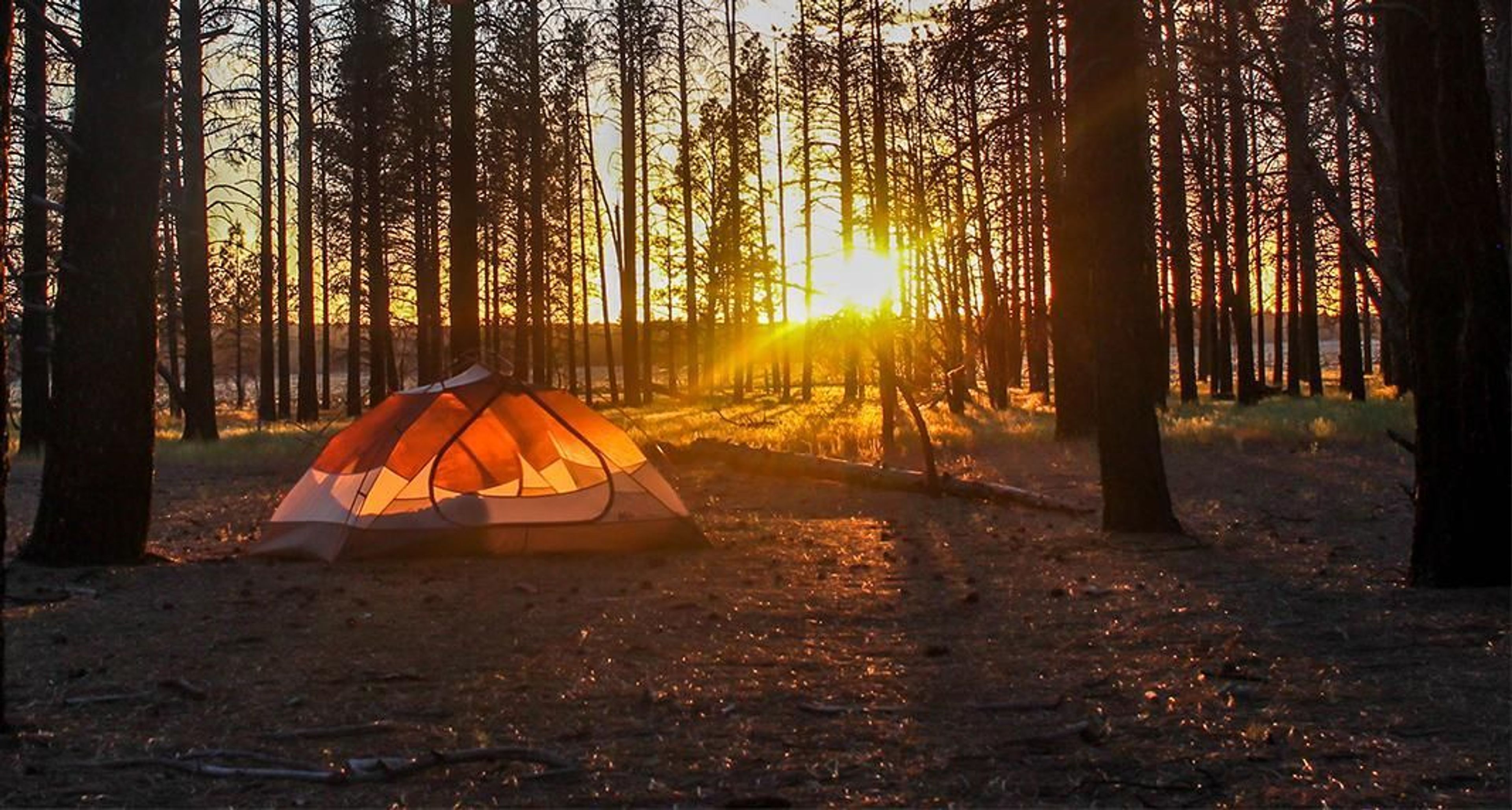 Campsites on the monument are primitive as there is no designated campground.