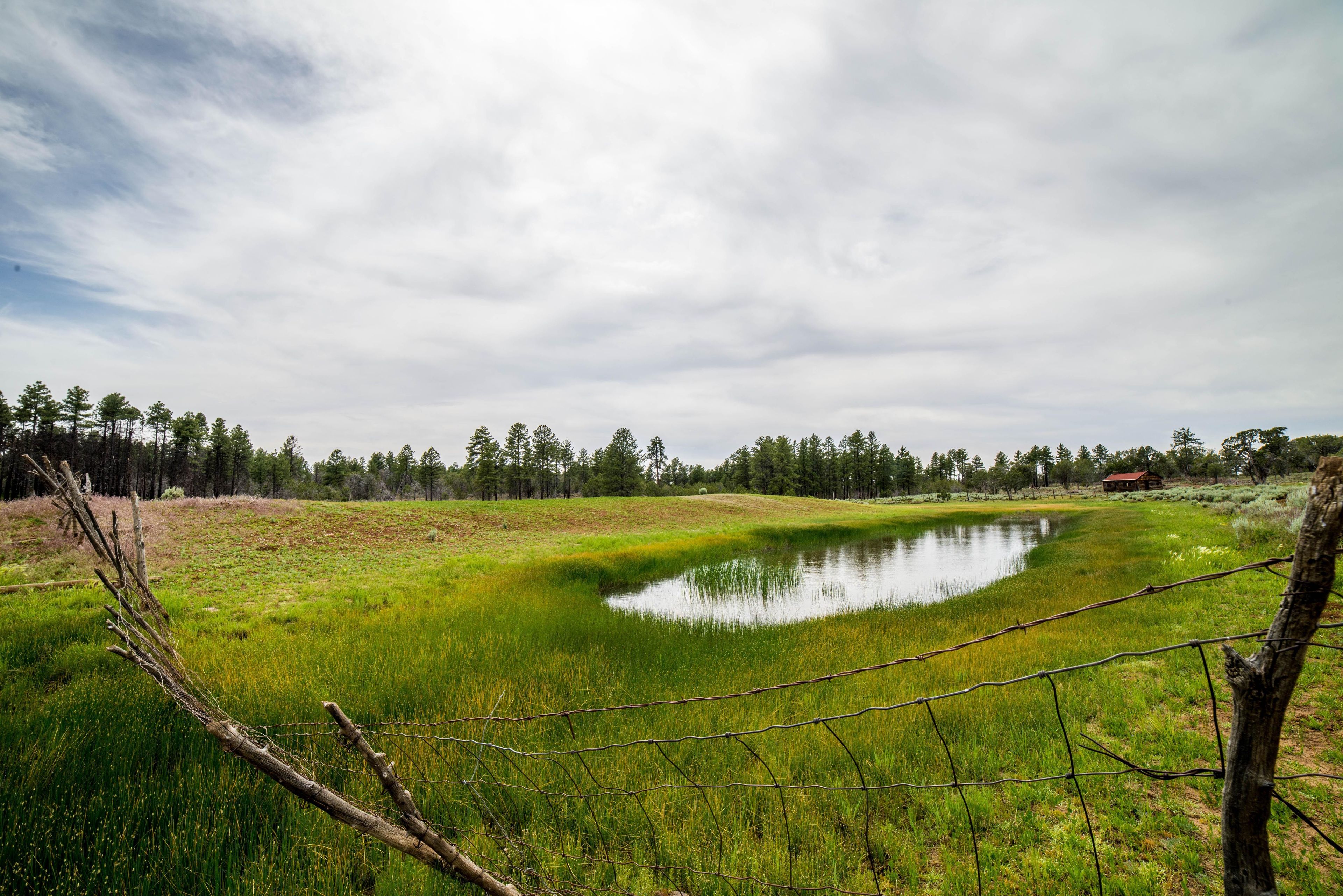 Areas such as Waring Ranch give a glimpse into ranching operations in the early and mid-20th century