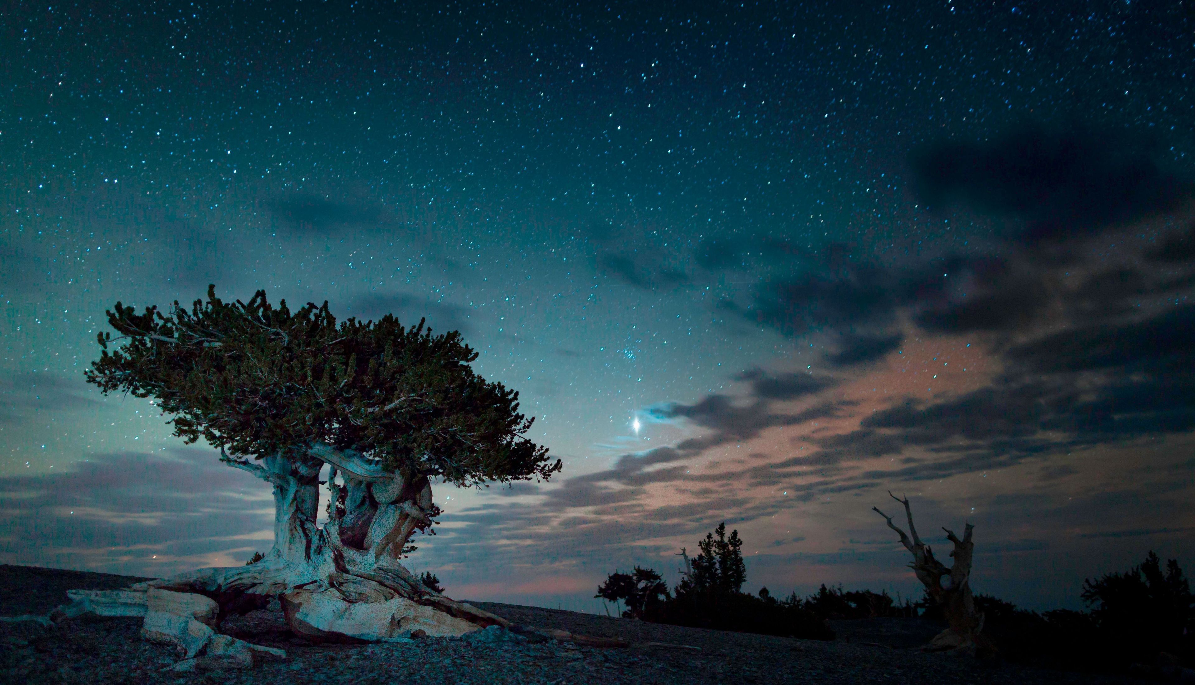 Planets like Jupiter shine bright at Great Basin