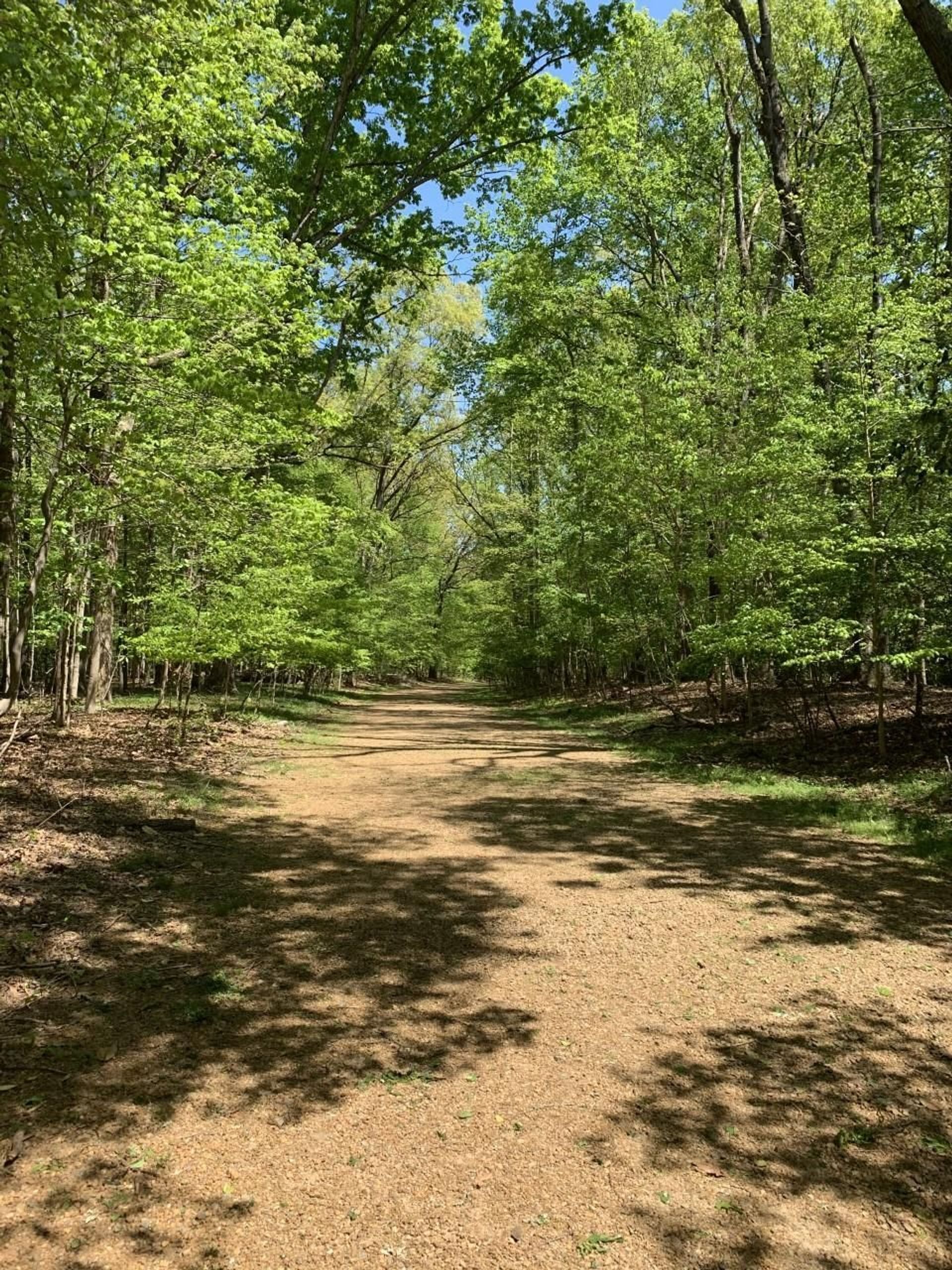 The Historic New Garden Road was a colonial highway and the location of the artillery during the Battle of Guilford Courthouse