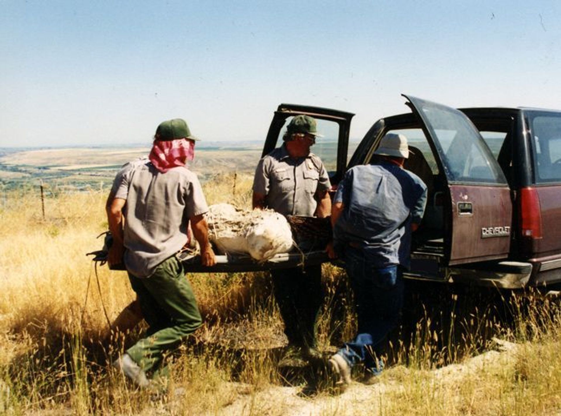 A casted fossil is being removed from the Monument and sent to the lab.