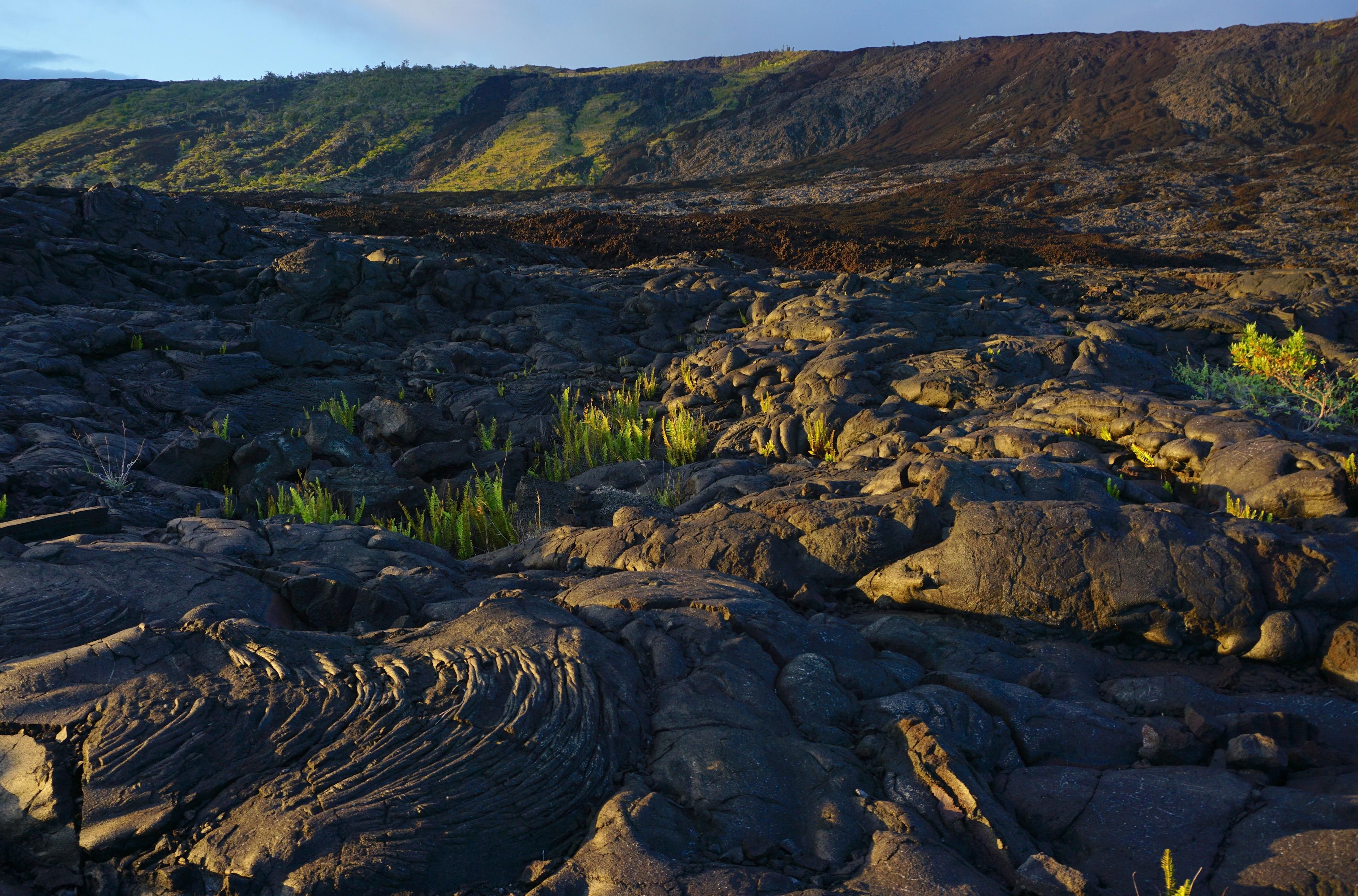 Lava flows from the Mauna Ulu eruption drape the Hōlei Pali