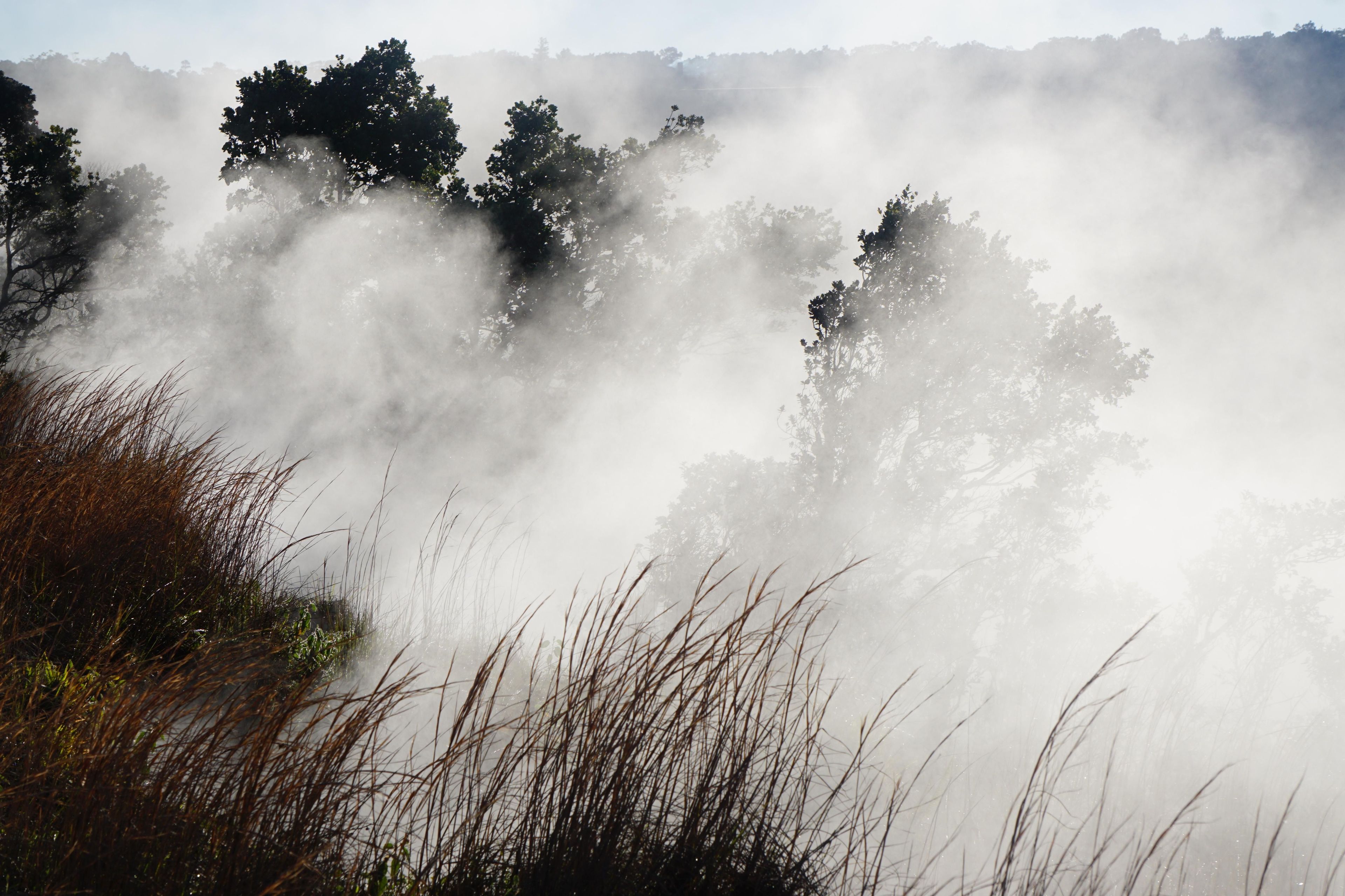 Wahinekapu (Steaming Bluff)