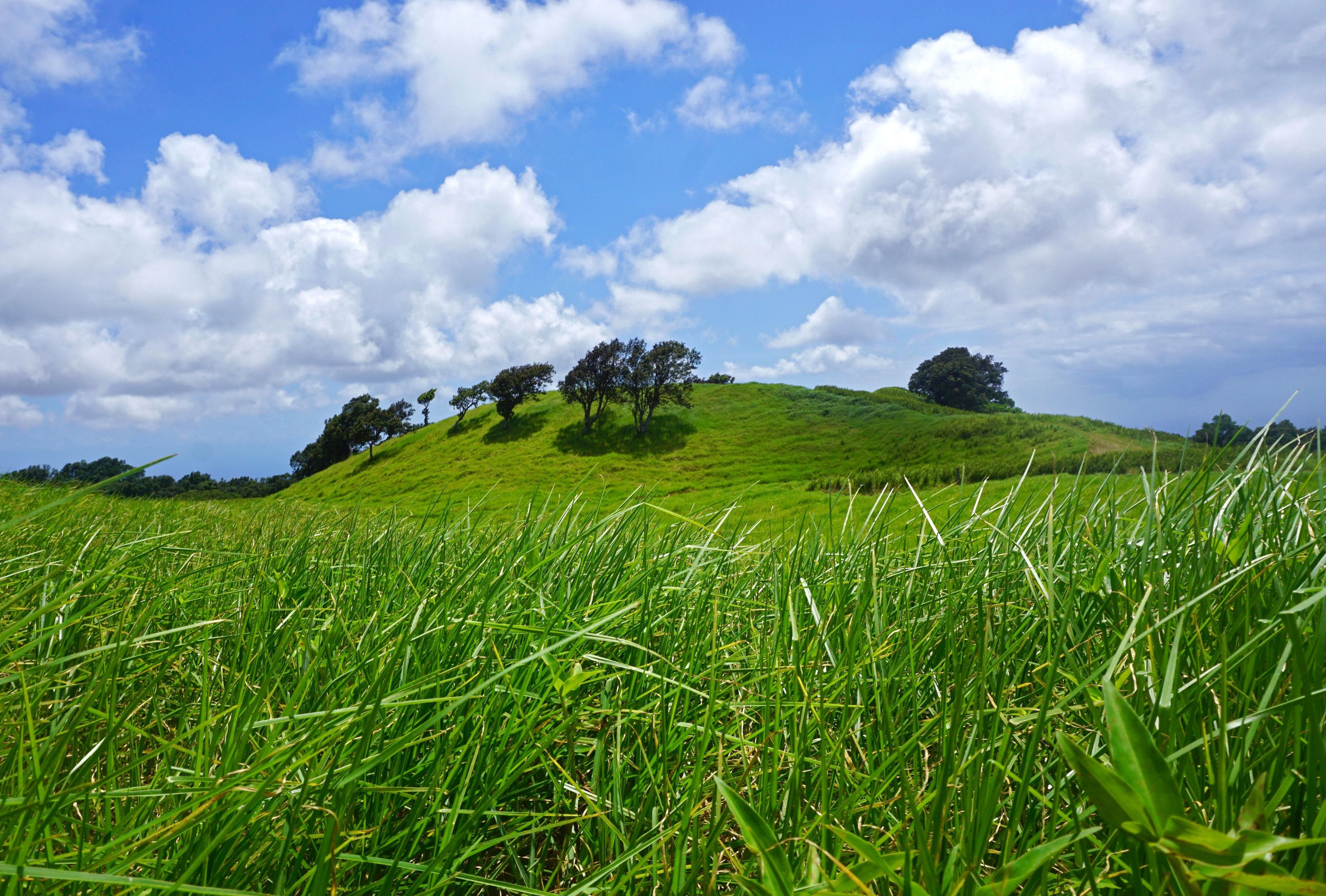 The Kahuku Unit of Hawaiʻi Volcanoes National Park once was one of the largest cattle ranches in Hawaiʻi