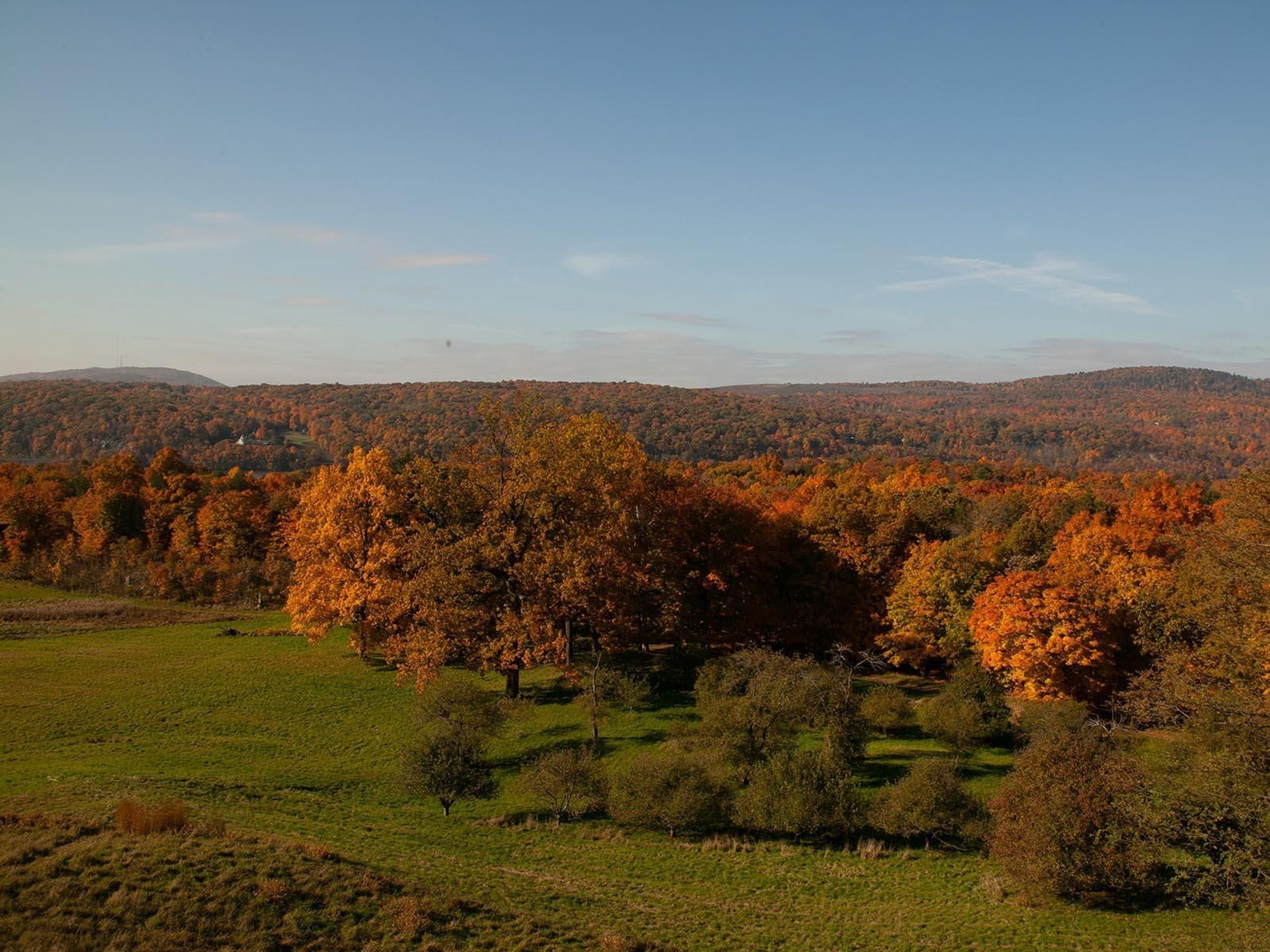 A view toward the Hudson Highlands from the south lawn at Springwood.