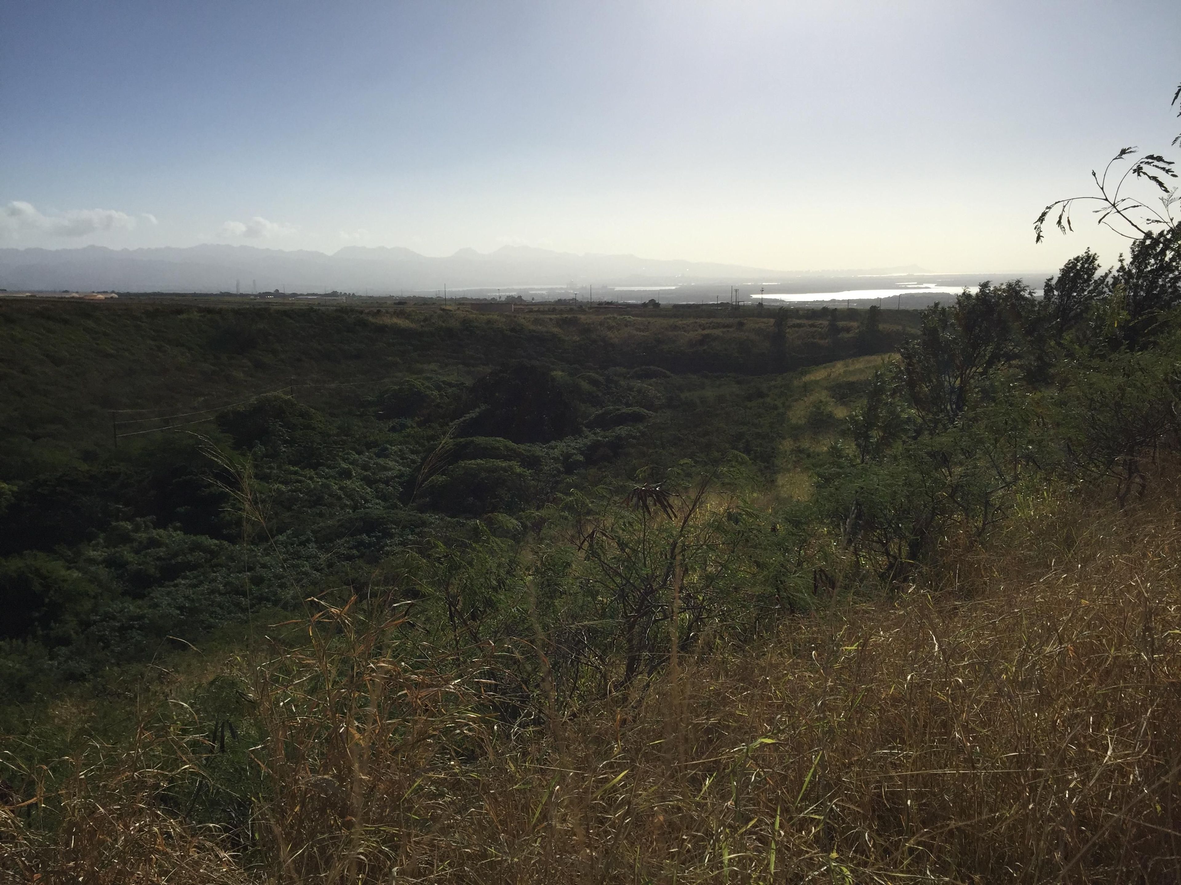 Looking towards the south of the gulch with Pearl Harbor in the distance