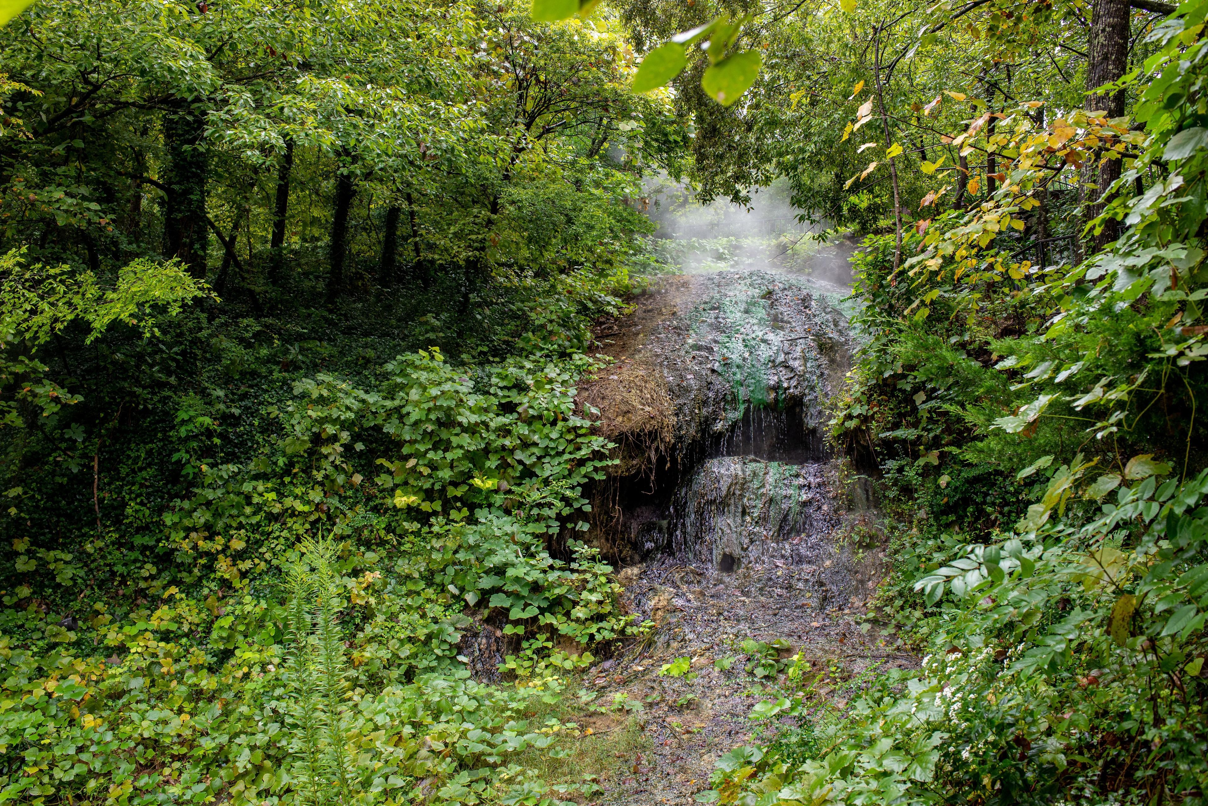 The Arlington Lawn holds a beautiful thermal cascade