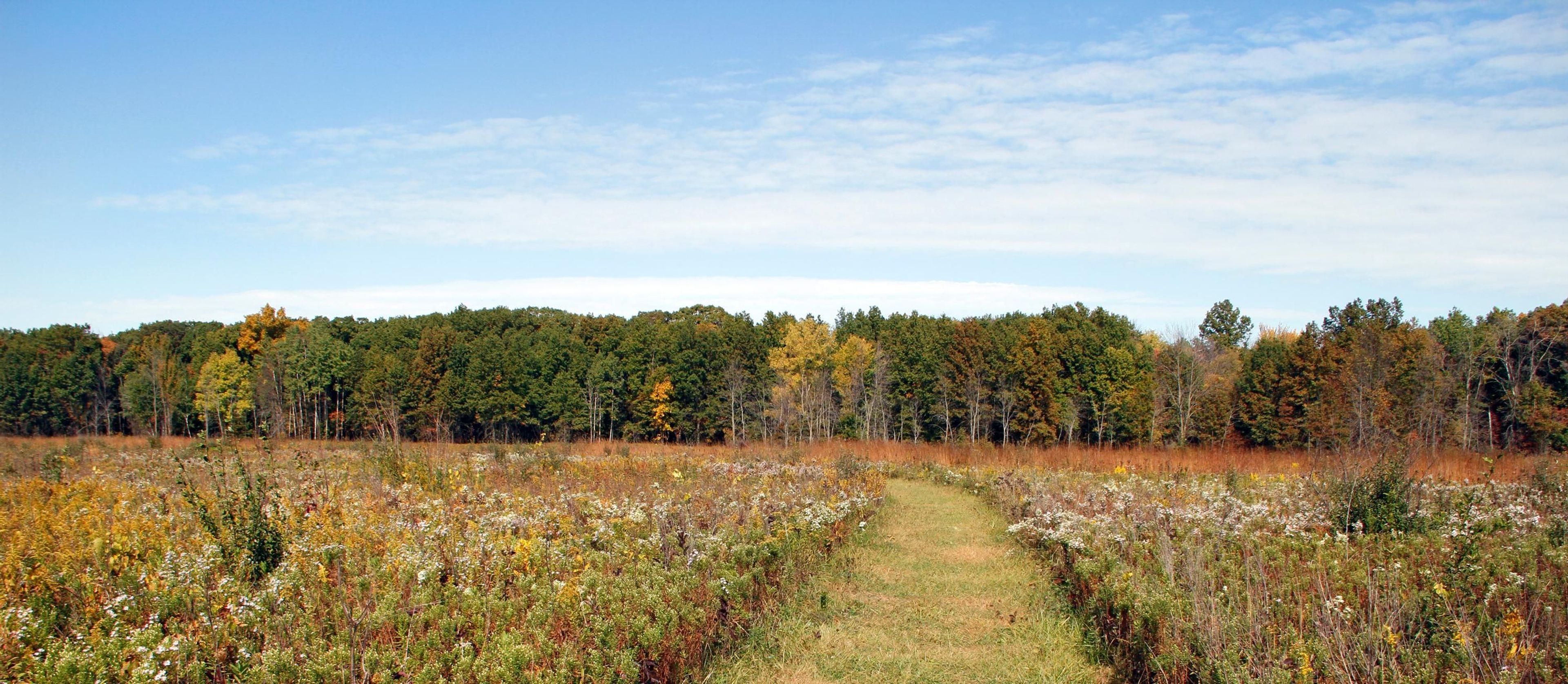 Mnoké Prairie