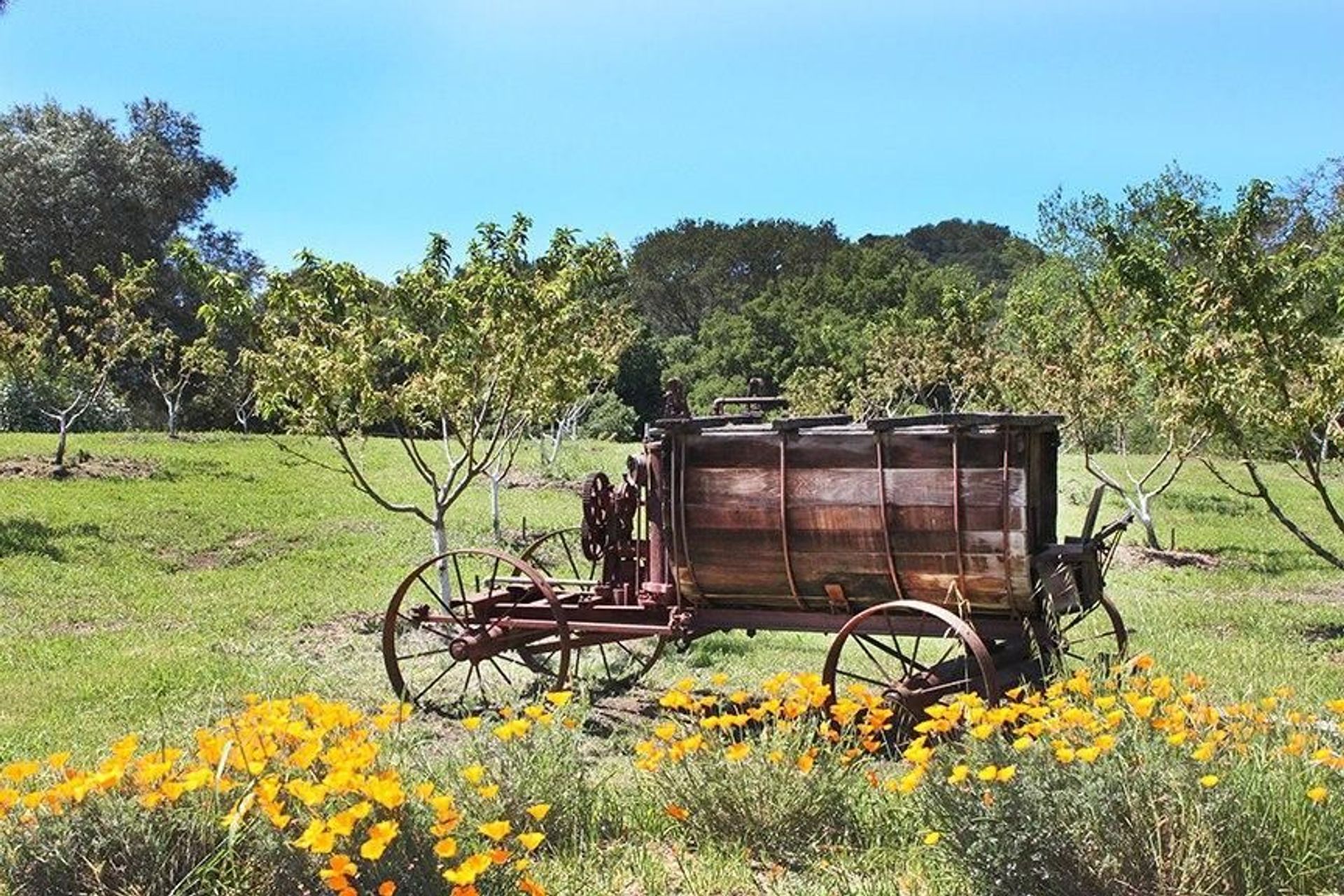 Historic Copper Sprayer.