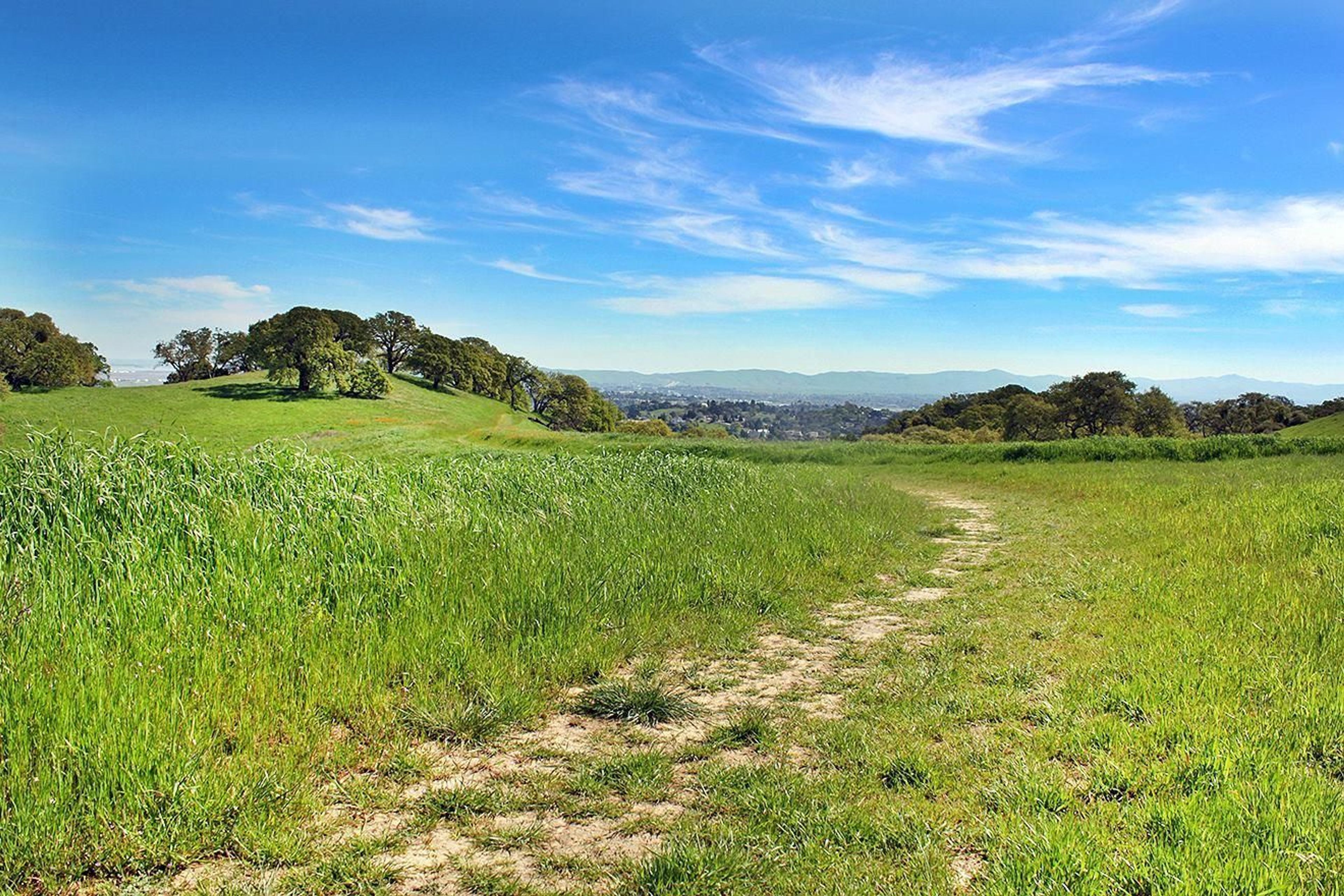 Mount Wanda walking trail.