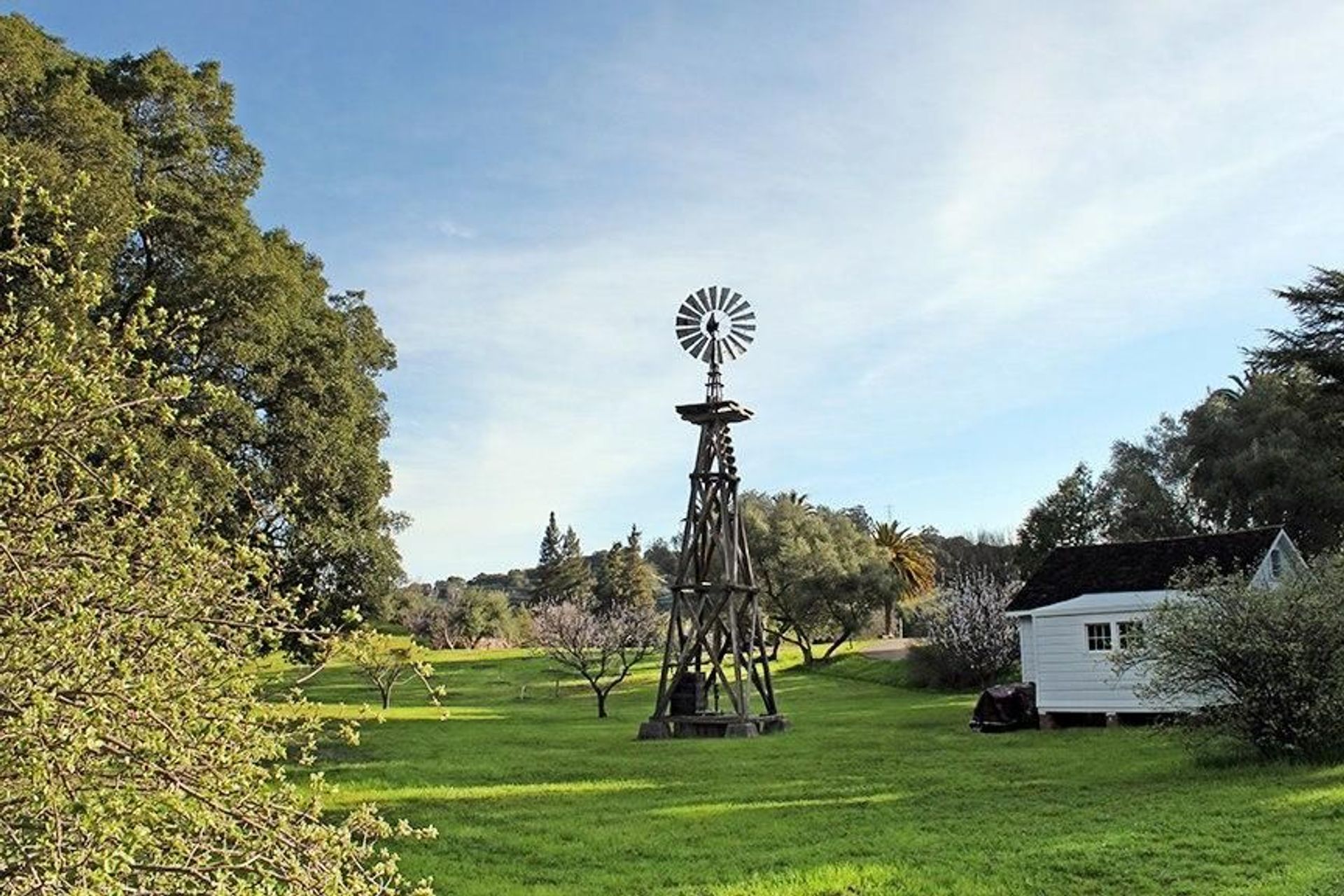 The old windmill.