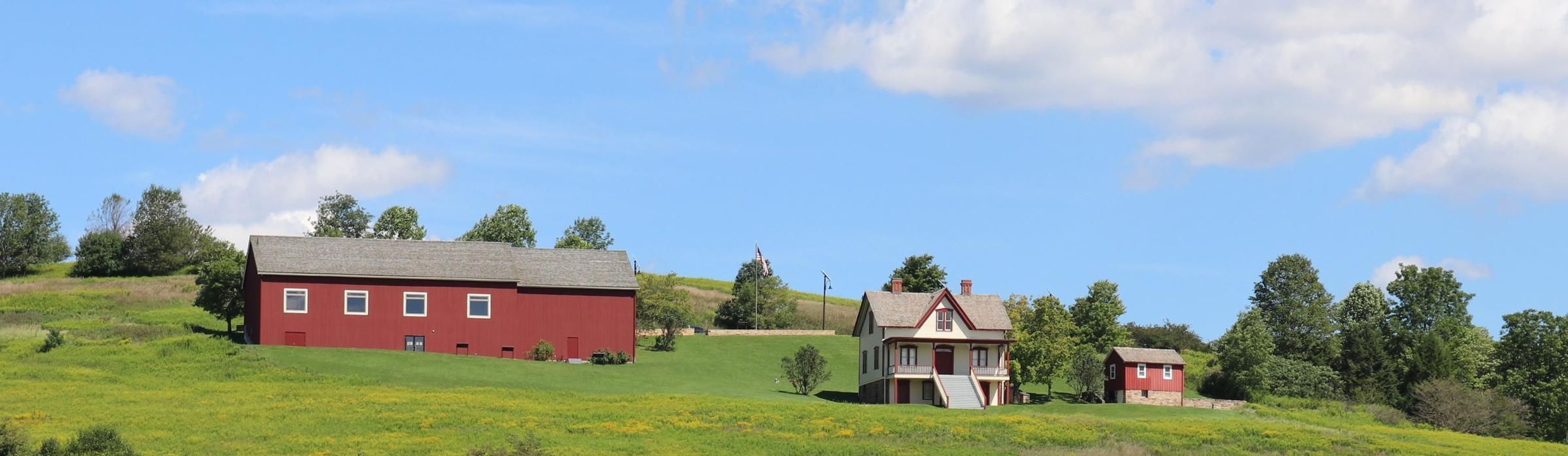 The Lake View Farm