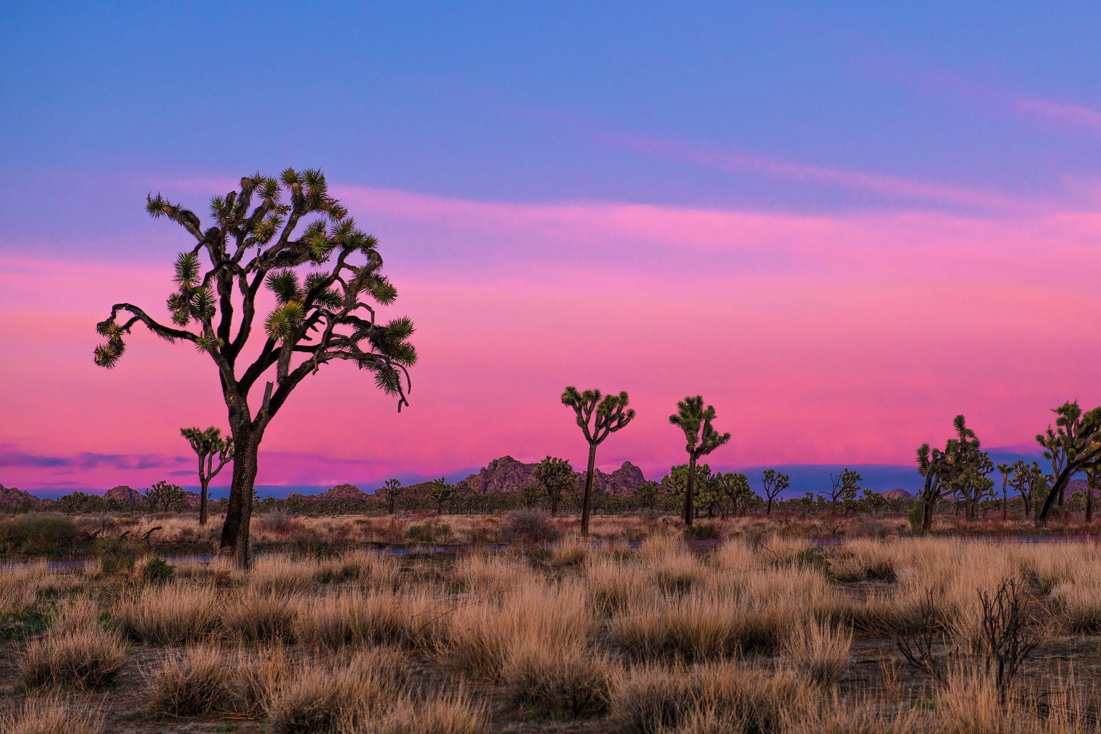 Quail Springs area at sunset