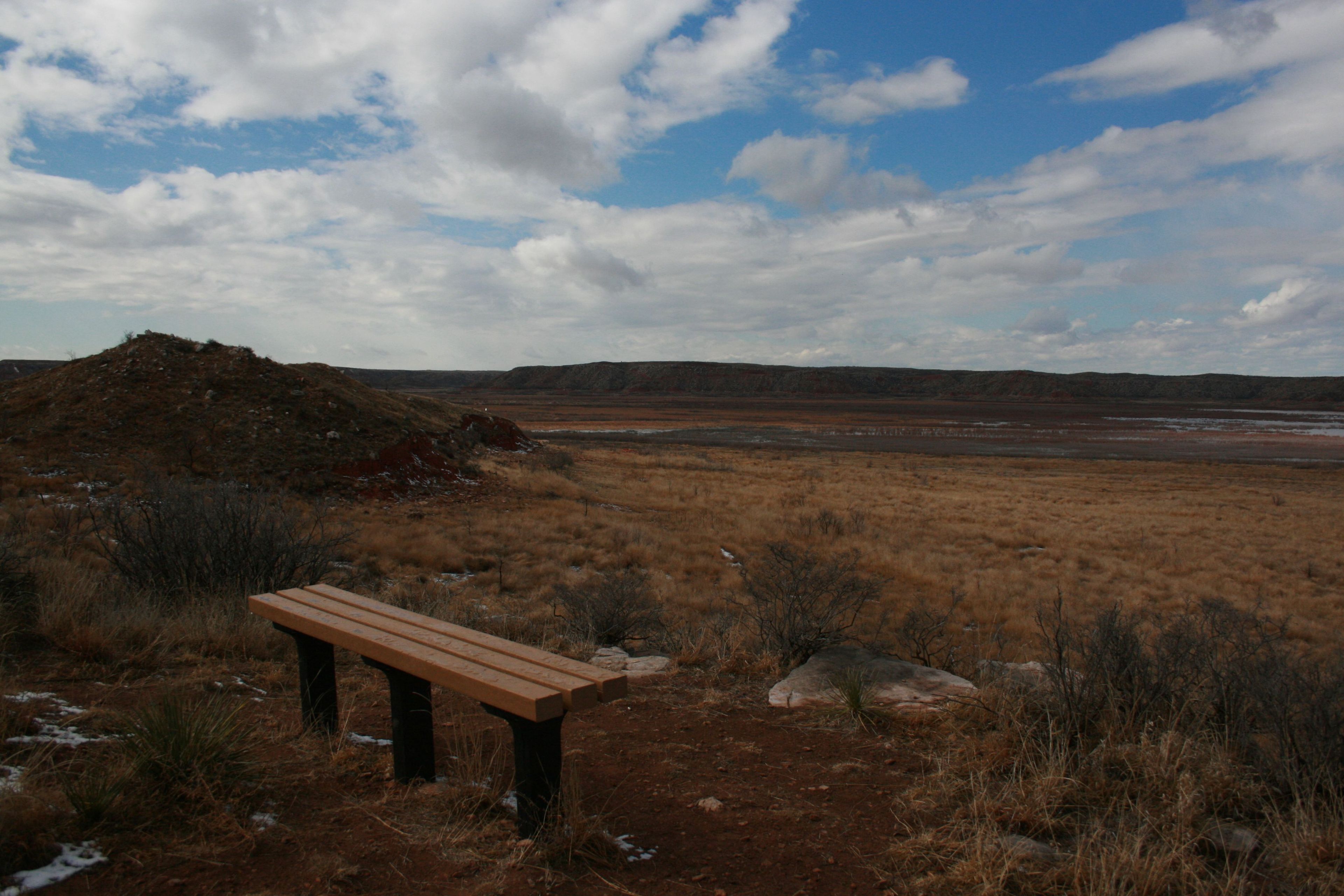 View of the lake from Harbor Bay Trail