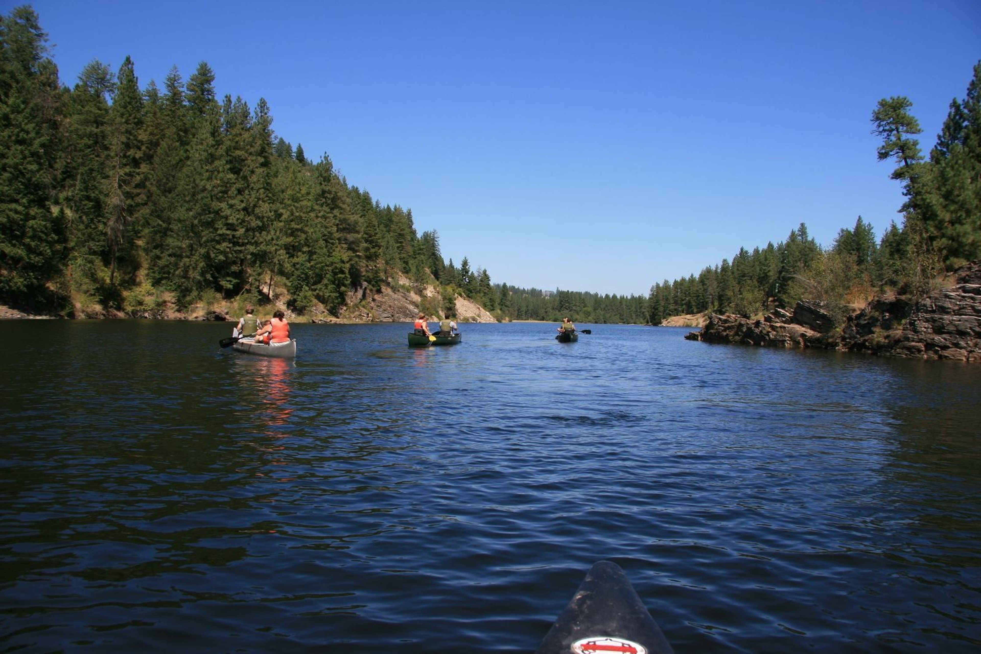 Visitors enjoying canoeing around the Hawk Creek area.