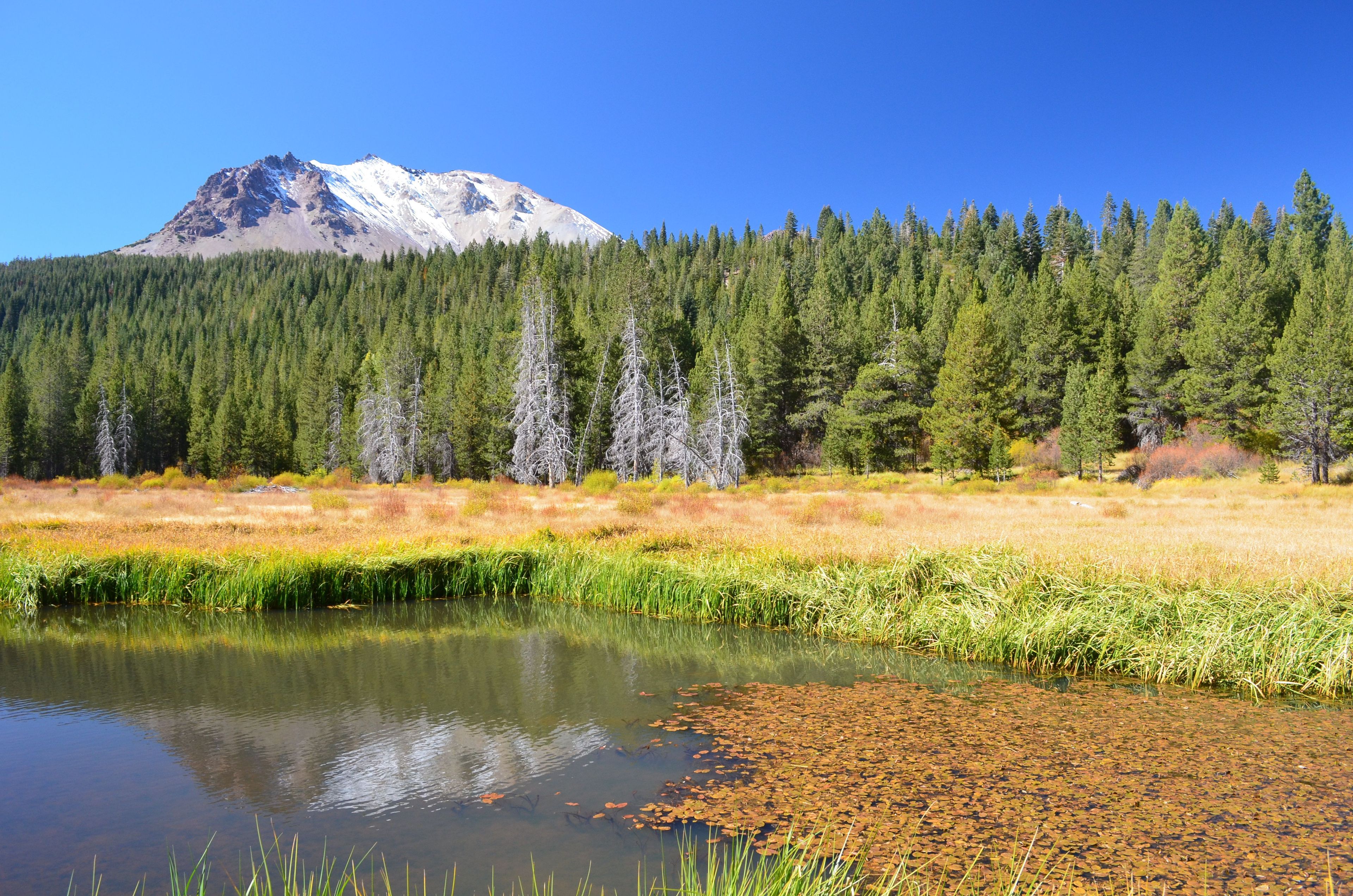 Lassen Volcanic's rugged volcanic landscape is softened by numerous meadows, lakes, and creeks.