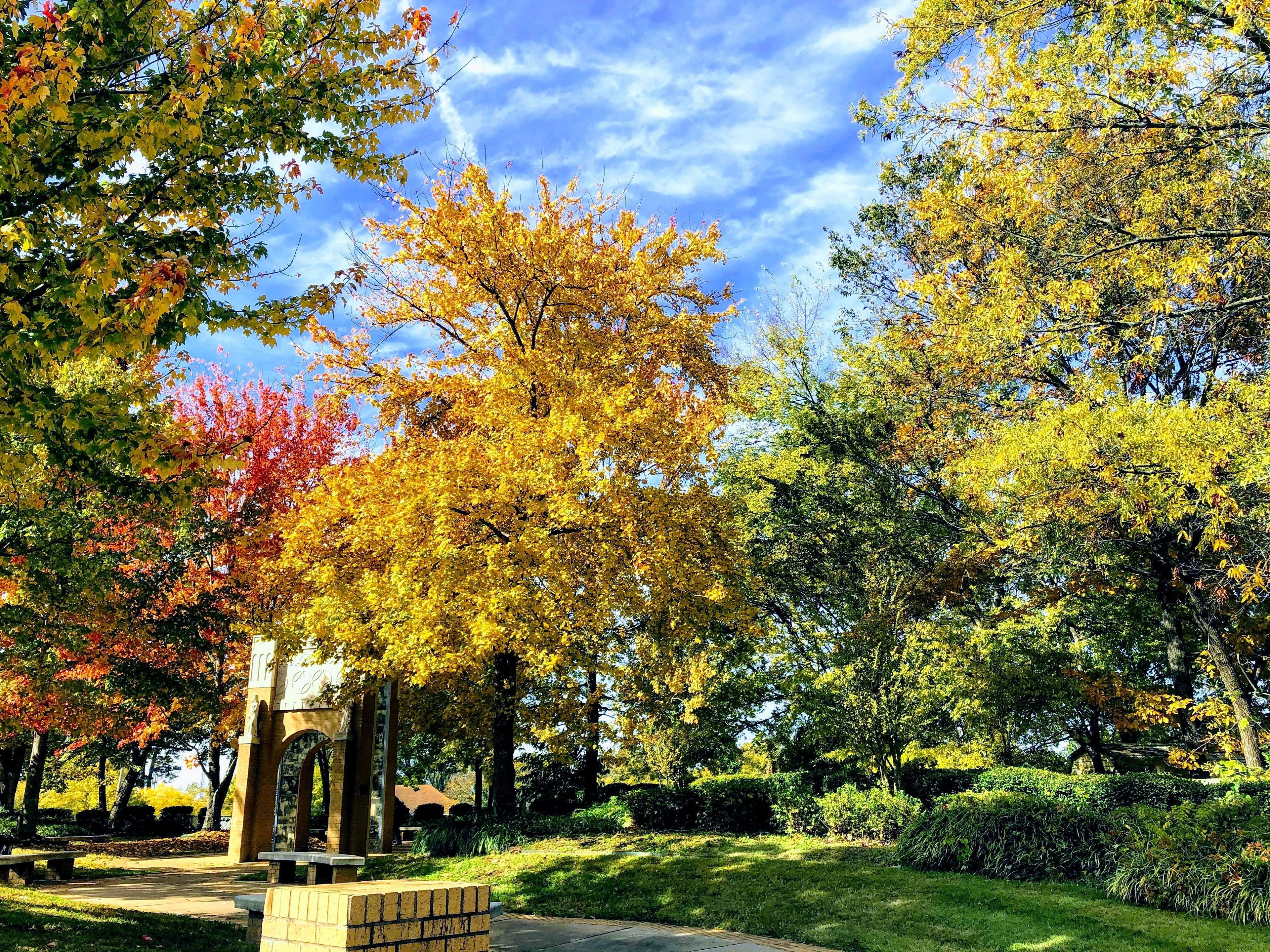 Spend some time in thought in the park's commemorative garden