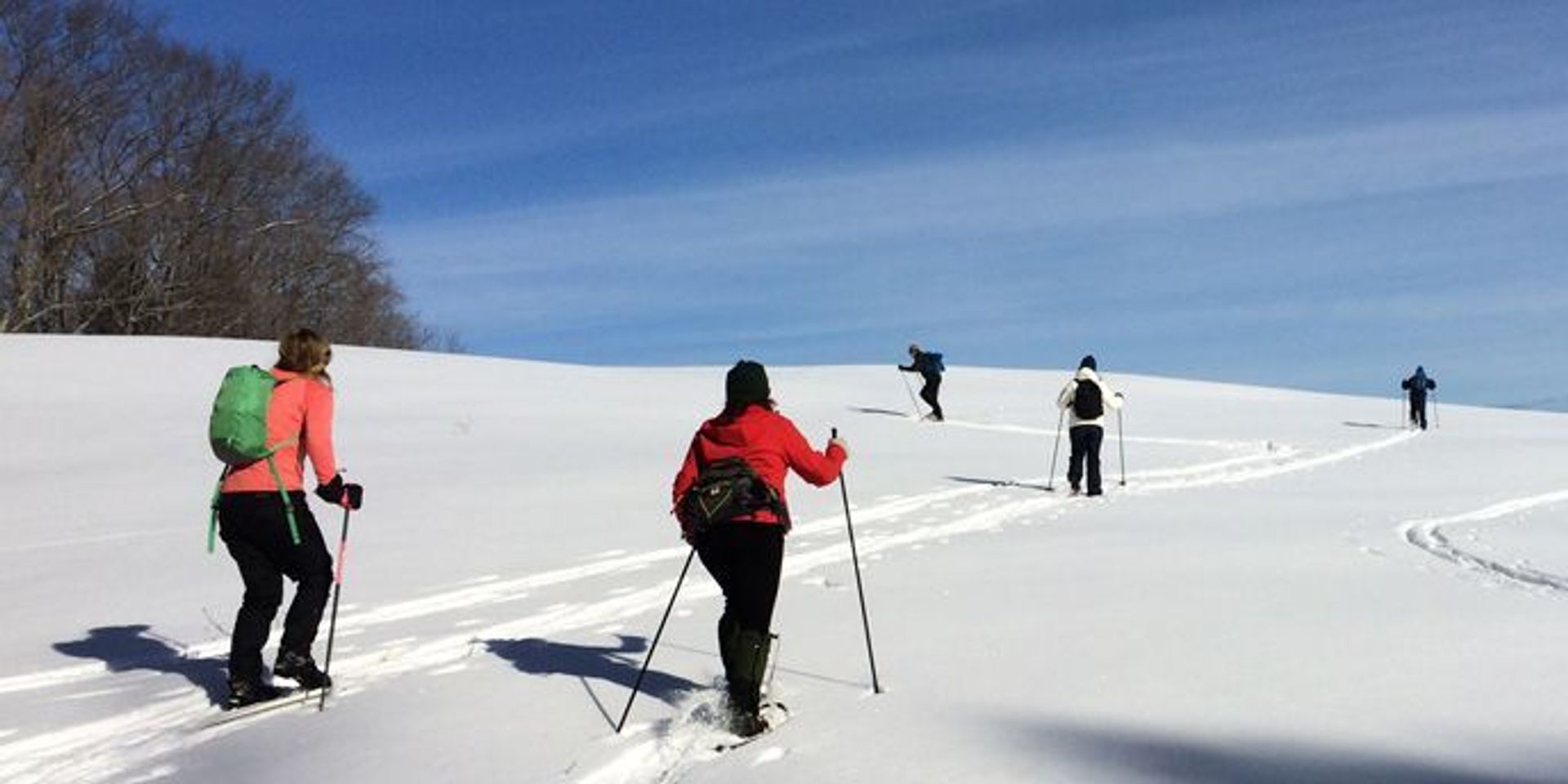 Cross-country skiiers enjoy a brilliant day in the park!