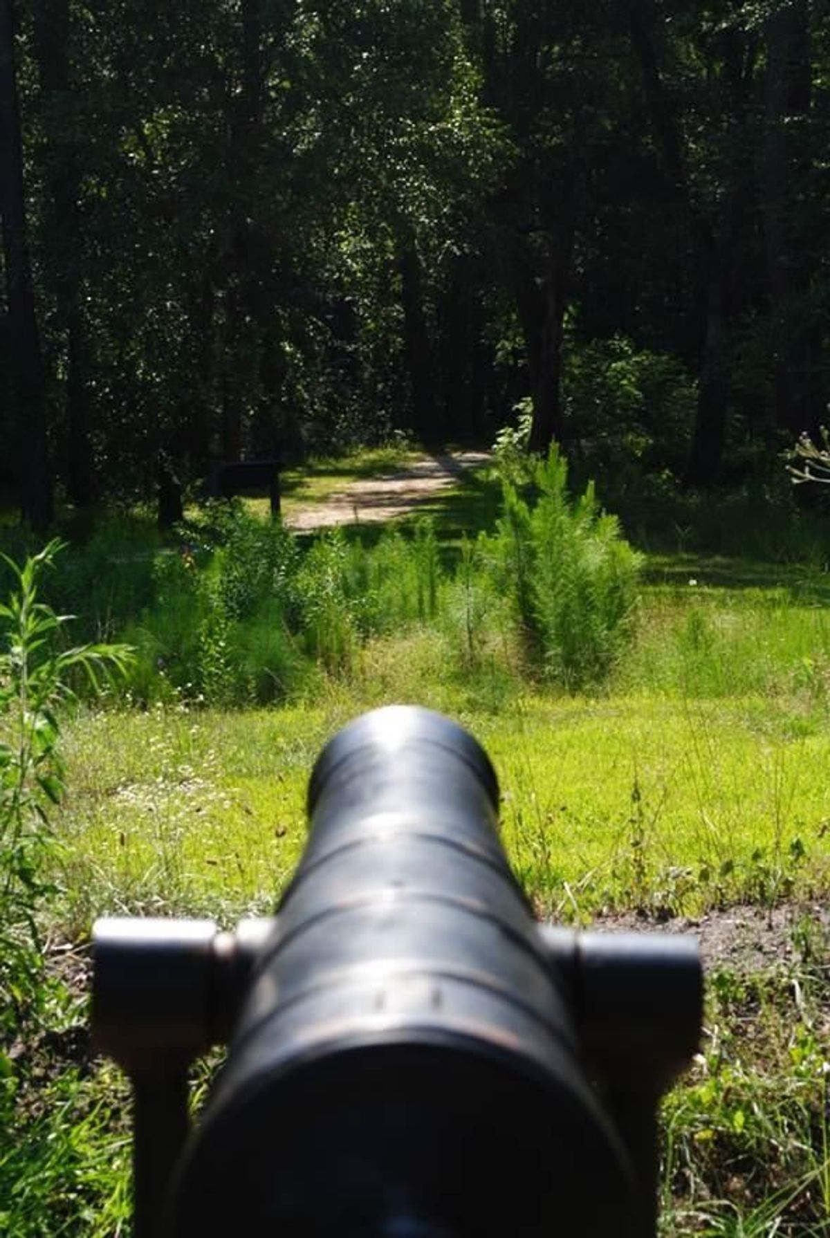 Cannon overlooking field at Moore's Creek.