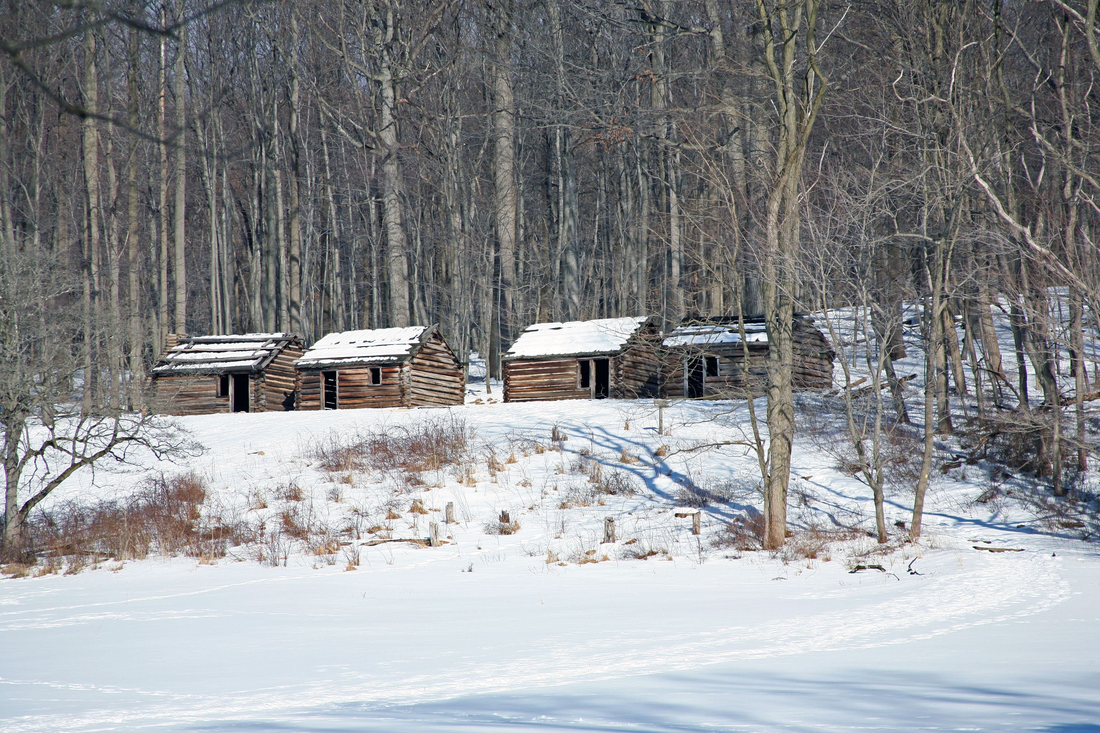 These replica soldier huts represent the location of the Pennsylvania Brigade encampment site in Jockey Hollow