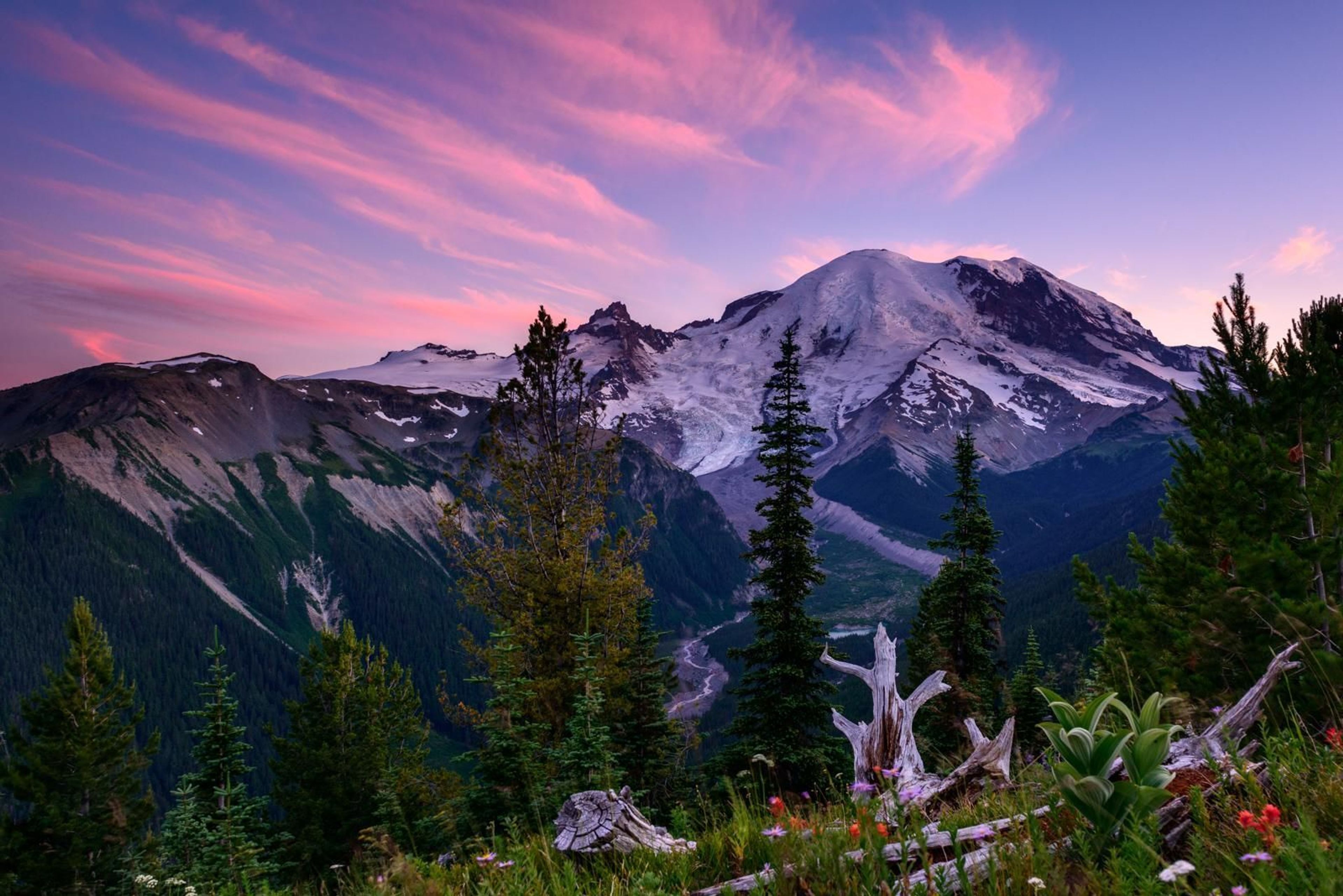 The Silver Forest Trail at Sunrise features spectacular views of Mount Rainier and the White River valley.